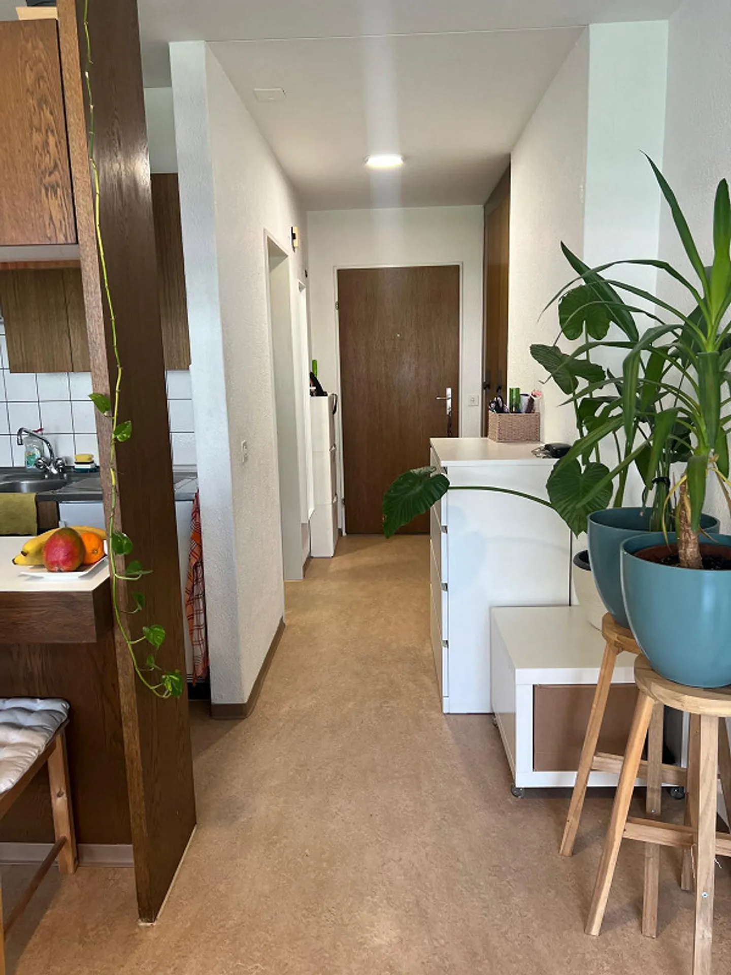 Appartamento 1 camera 1° piano, Wiesentalstrasse 95, 7000 Chur - Foto 4 di 4