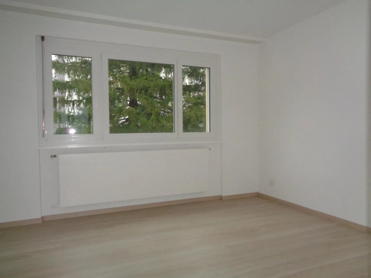 2-Zimmer-Wohnung - Foto 5 von 12