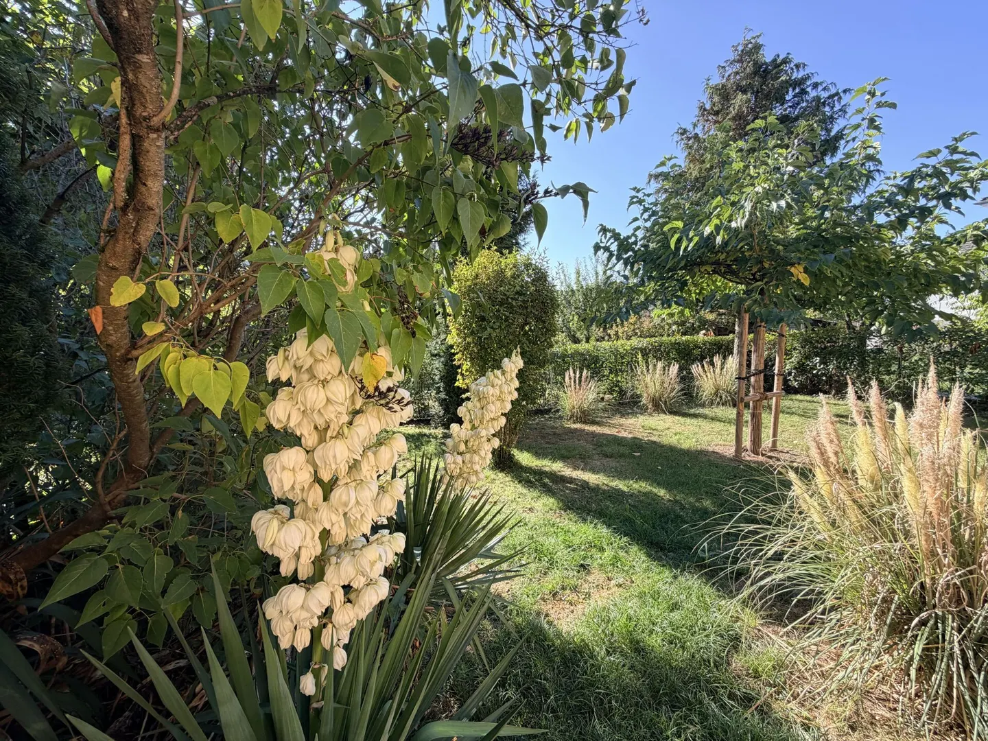 Maison familiale avec jardin - Photo 5 sur 6