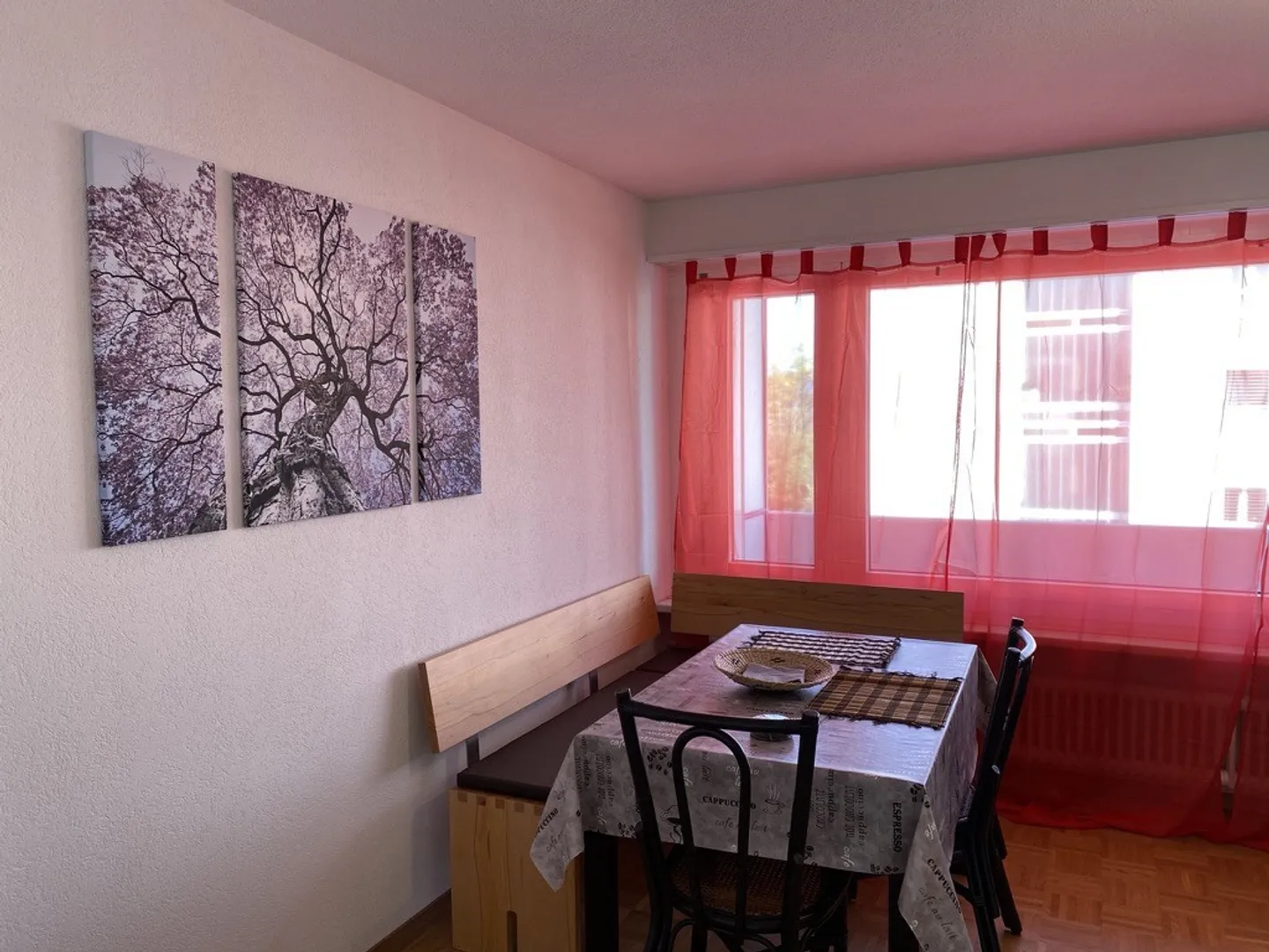 Ampio appartamento di 3,5 stanze con mobili – Nel cuore di Dübendorf, Zurigo - Foto 11 di 13