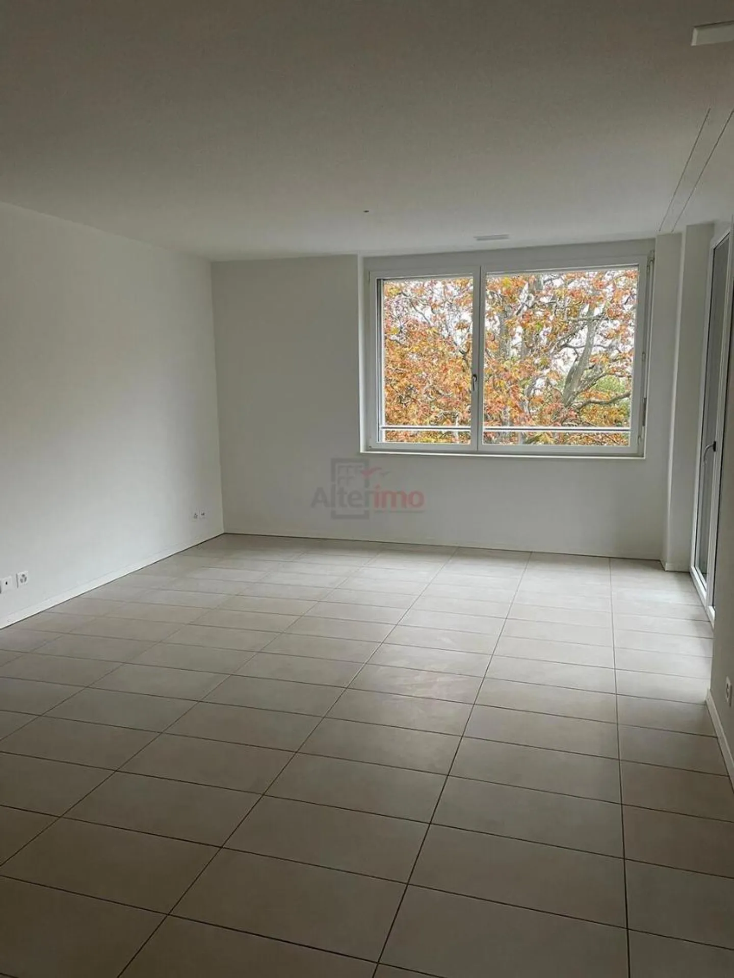 3,5-Zimmer-Wohnung - Foto 2 von 8