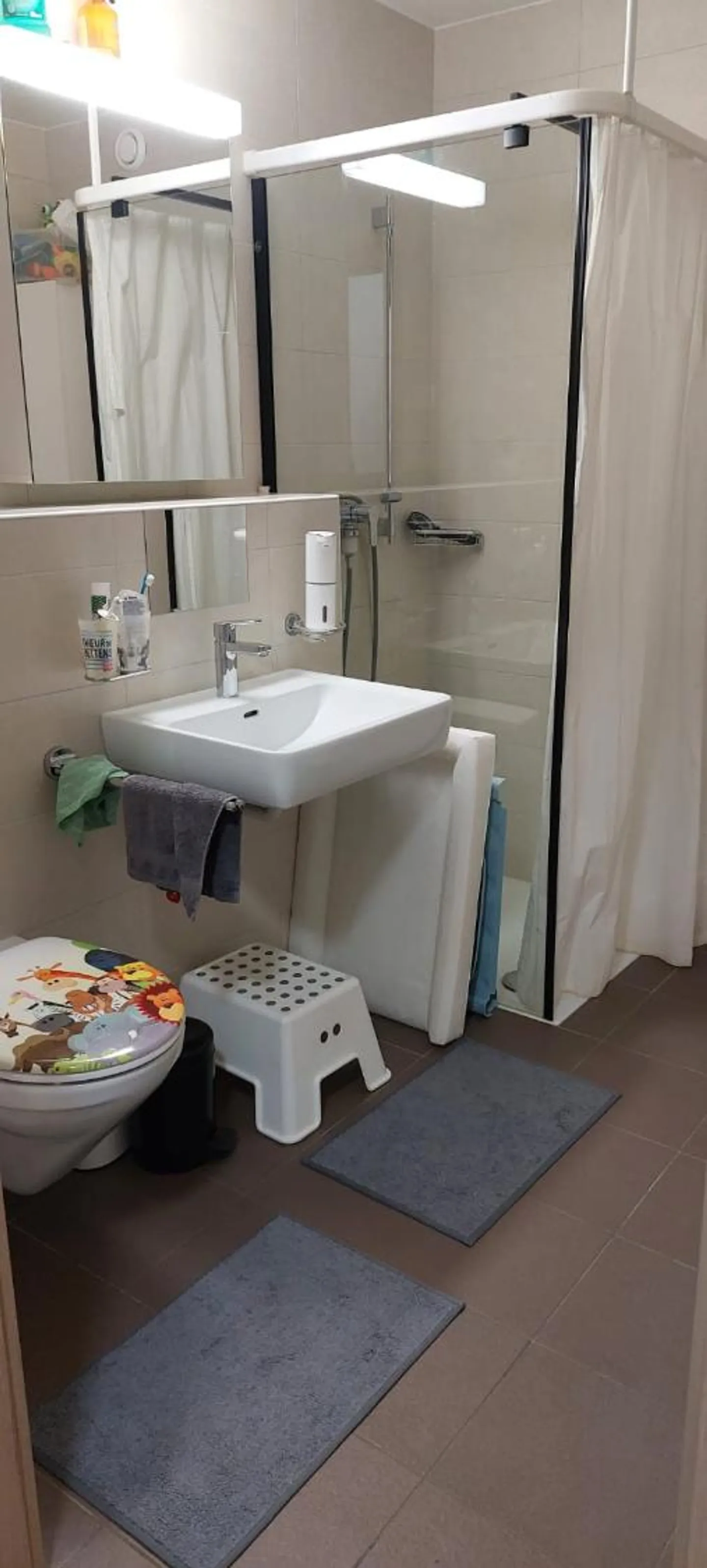 Appartamento 4.5 stanze - Foto 9 di 11