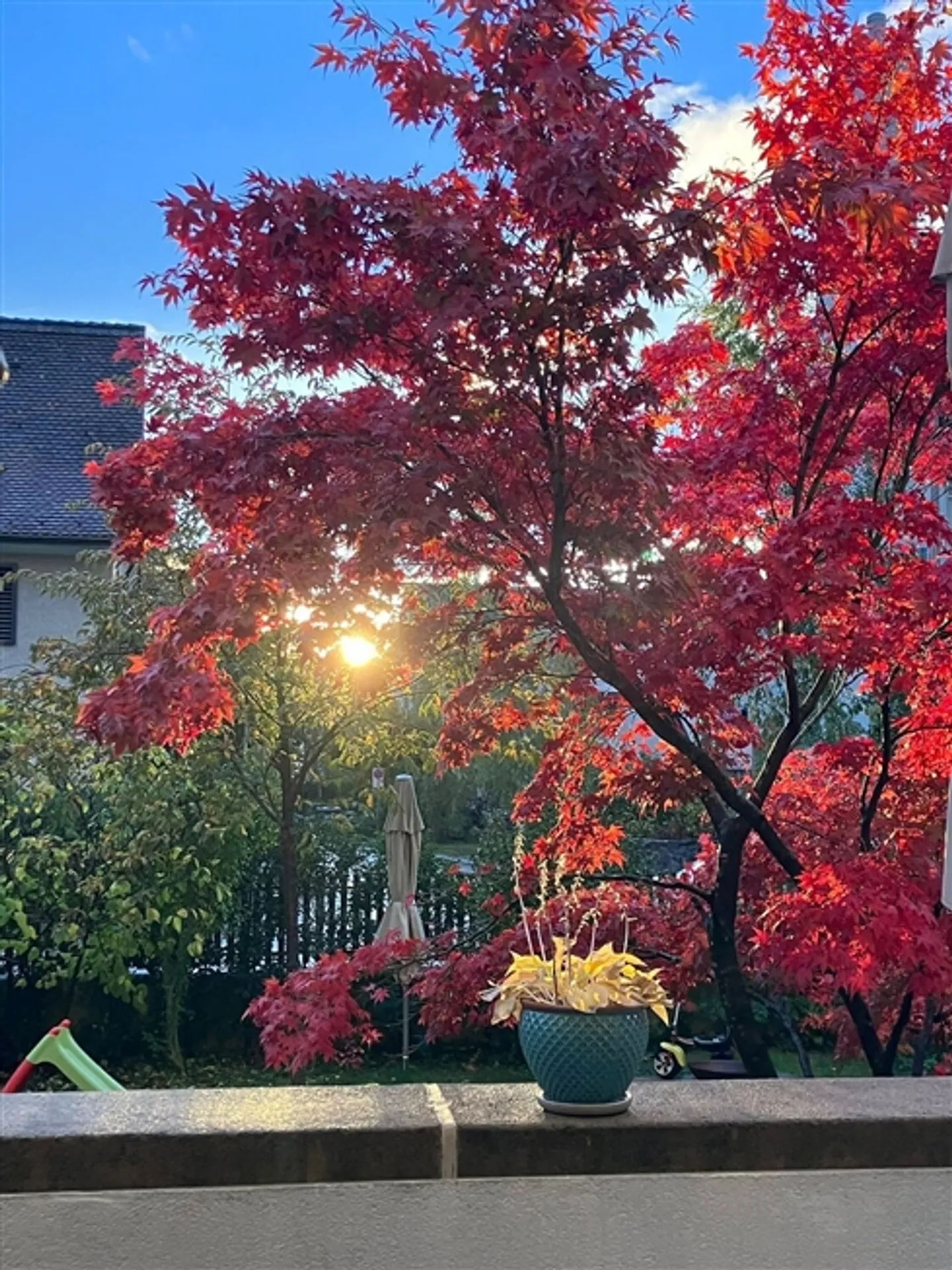 Appartement 4½ pièces à Zurich - Quartier 6 Milchbuck, meublé, temporaire - Photo 10 sur 10