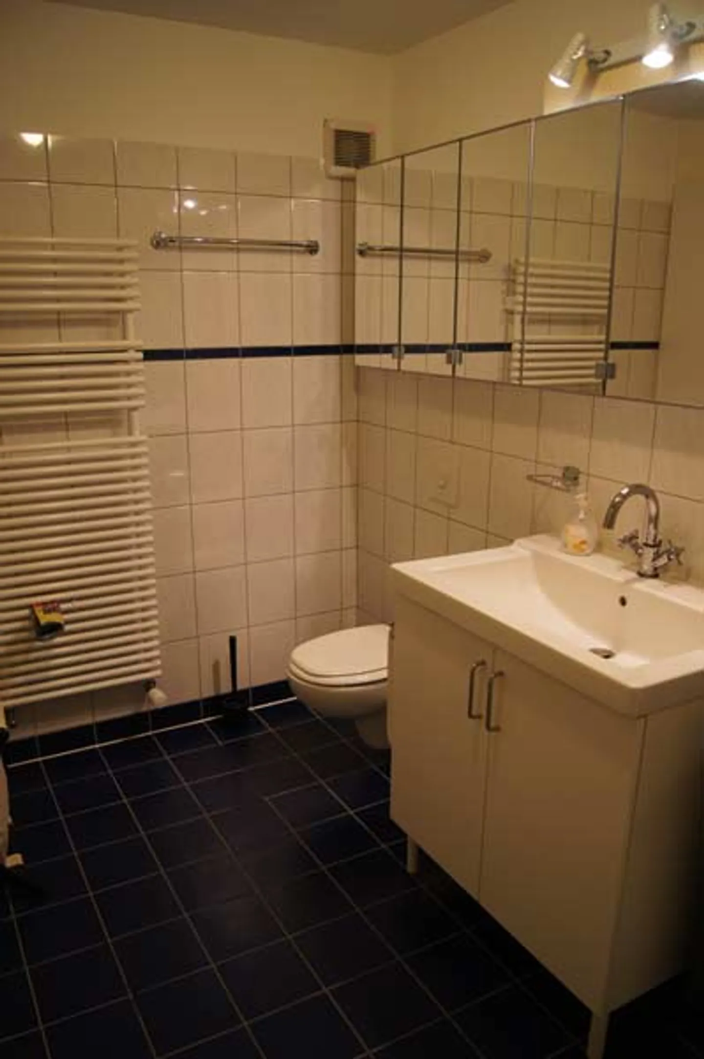 Spacious & modern 2.5 loft apartment in the green - Photo 4 of 7