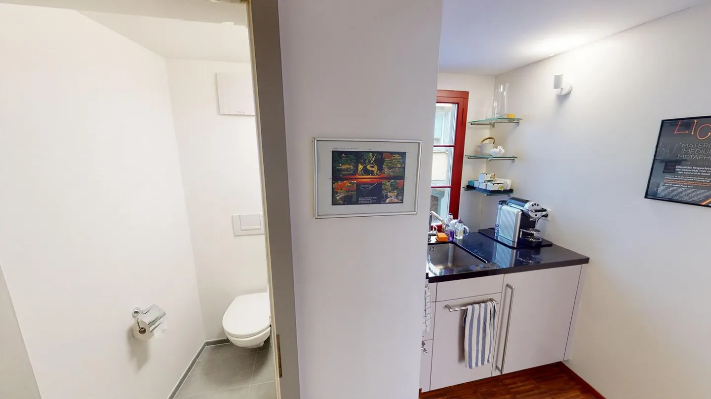 Modern Office Spaces in the Historic Salomon Gessner House - Photo 9 of 10