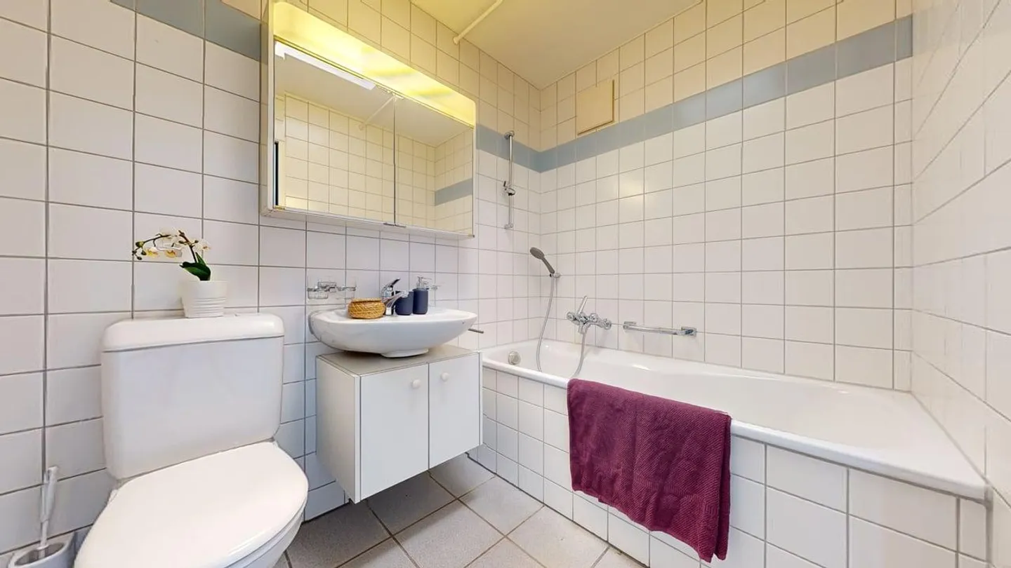 Charming 1.5-Room Apartment - Photo 7 of 9
