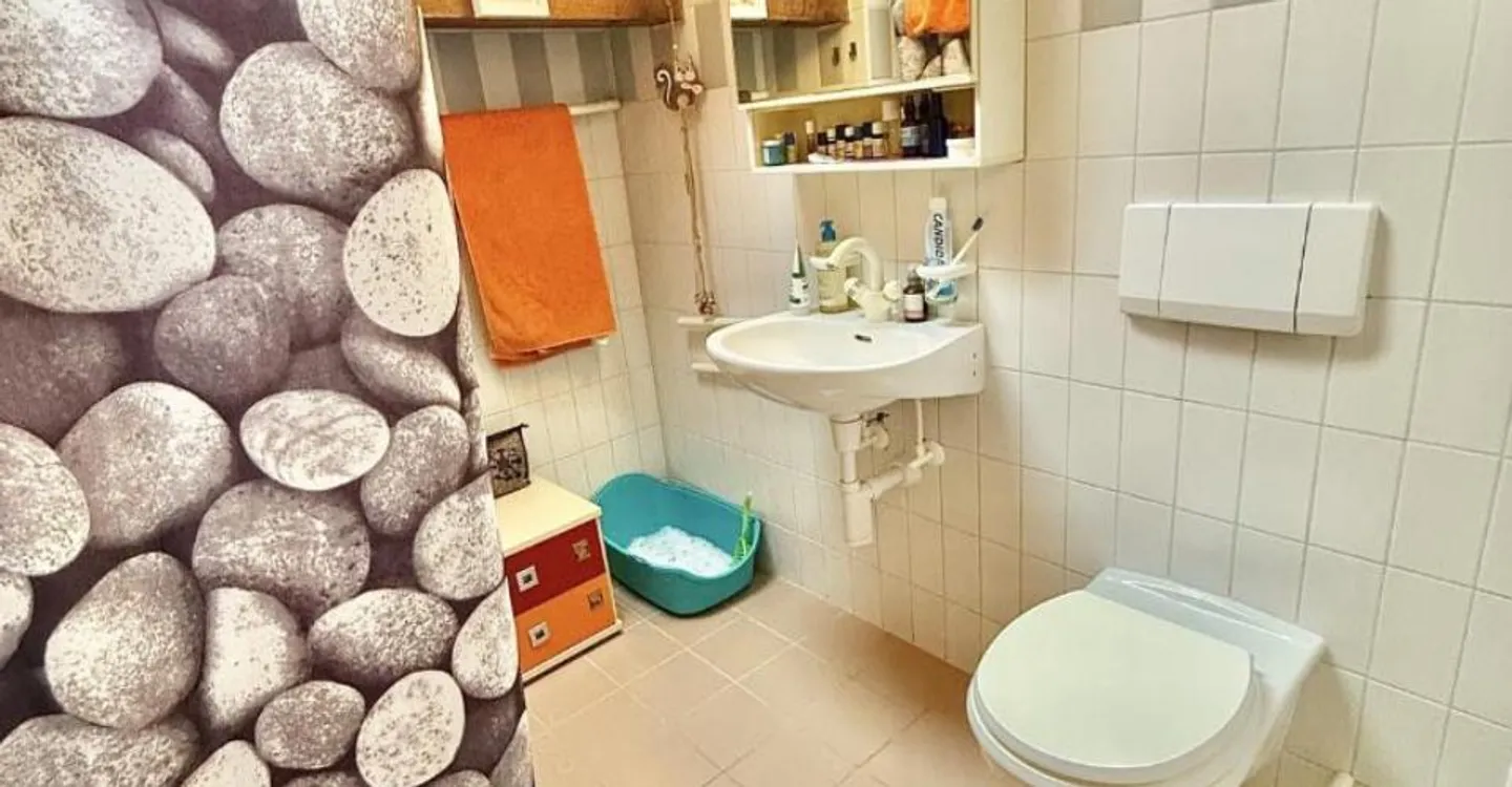 Charming Studio in Delémont - Photo 7 of 10