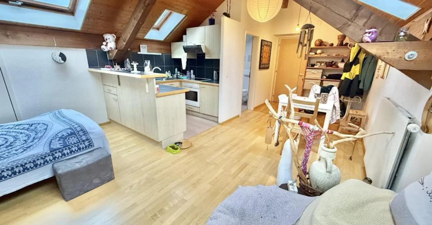 Charming Studio in Delémont - Photo 4 of 10