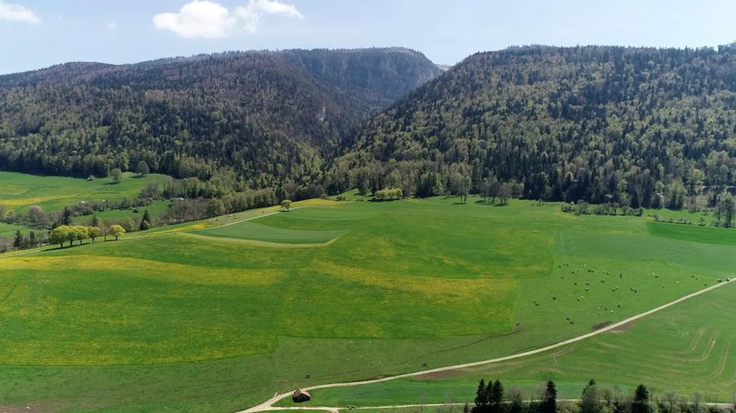 Ihr zukünftiger Lebensraum zwischen Natur und Moderne - Foto 2 von 13