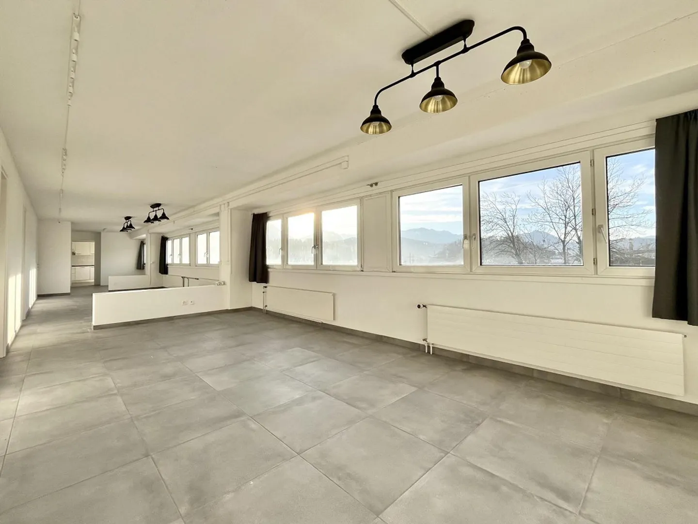 ZU VERMIETEN KOMMERZIELLER RAUM FÜR BÜRO-ATELIER IN BEDANO - Foto 3 von 10