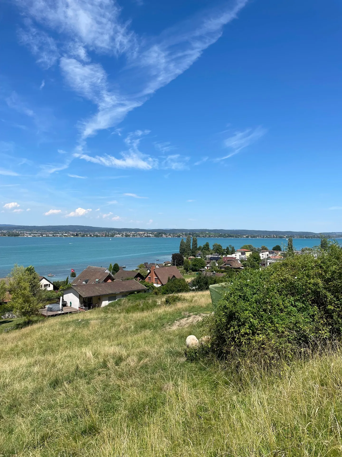 Building plots for single or double family houses - Photo 4 of 4