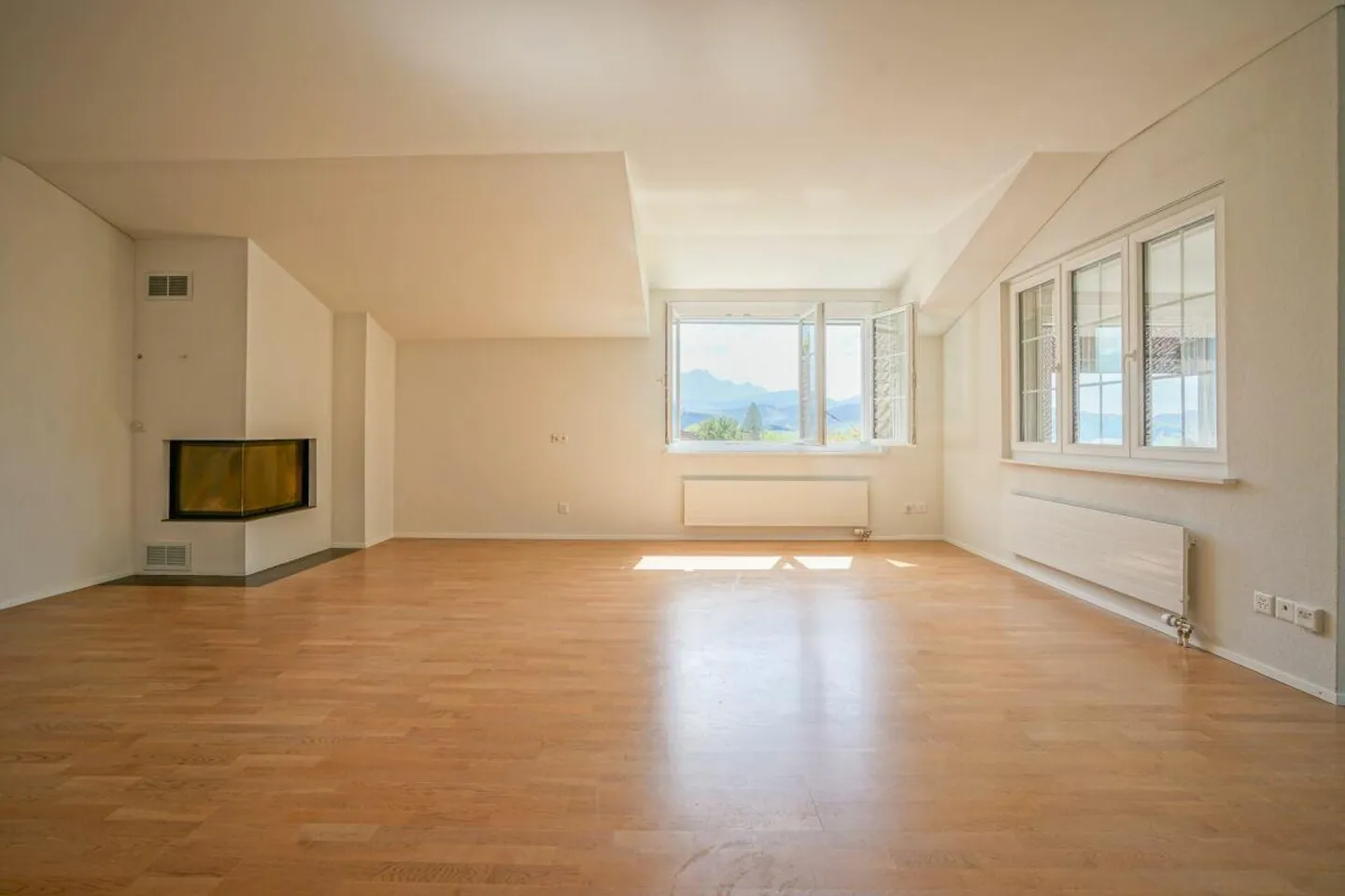 Le Säntis salue chaque jour - grand appartement sous les toits avec magnifique ... - Photo 2 sur 12