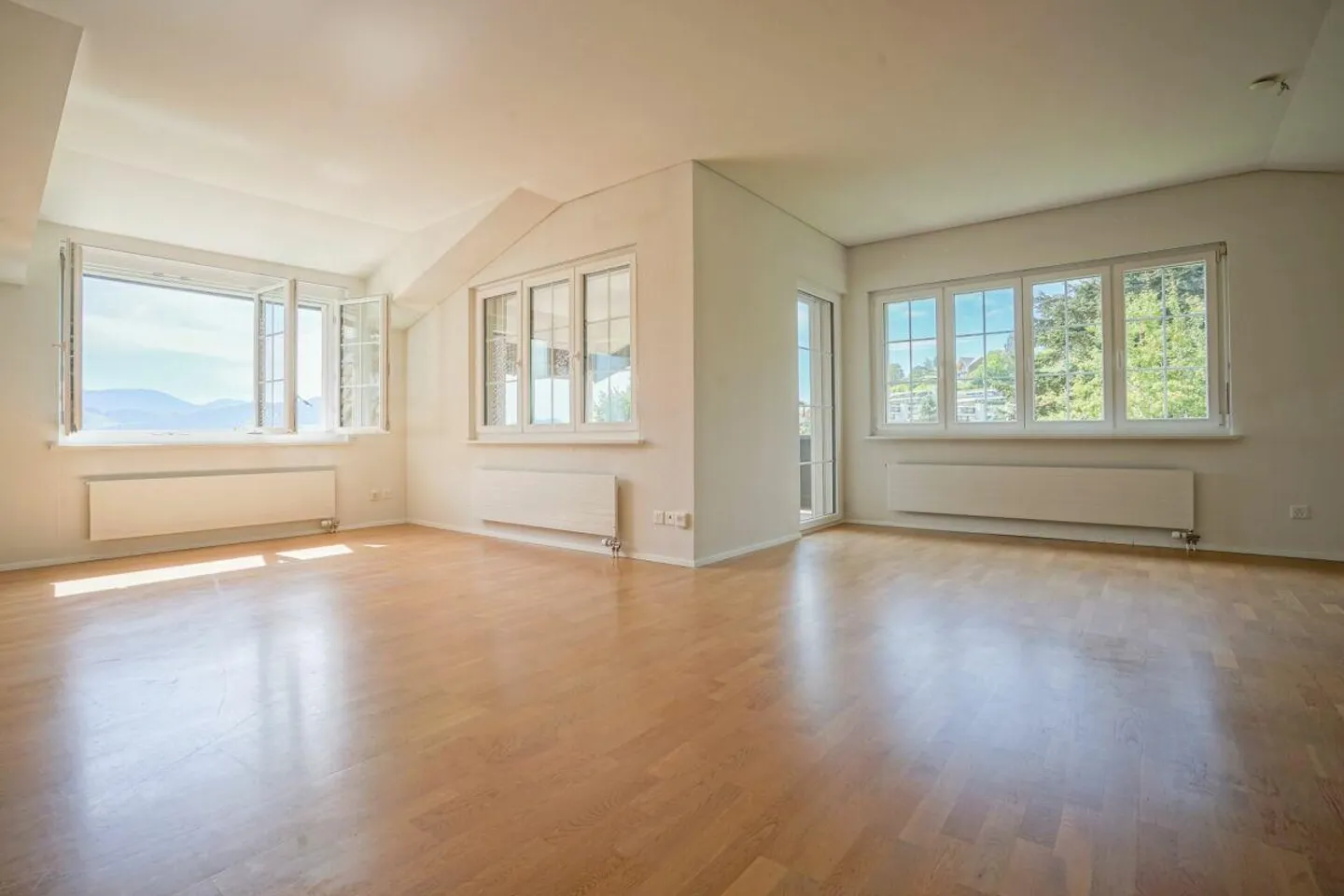 Le Säntis salue chaque jour - grand appartement sous les toits avec magnifique ... - Photo 3 sur 12