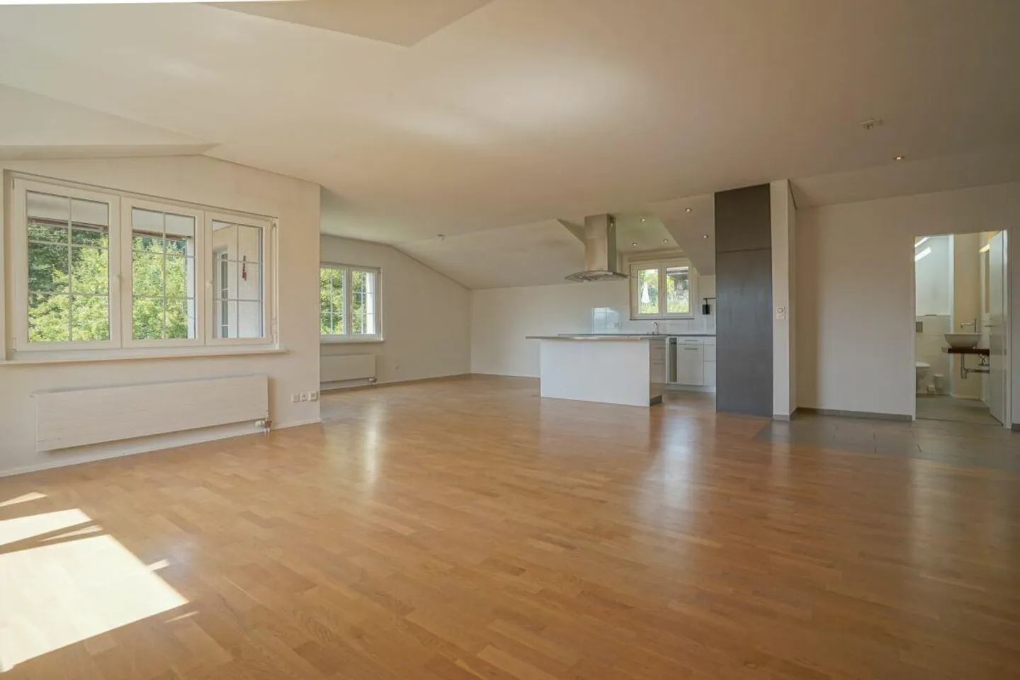Le Säntis salue chaque jour - grand appartement sous les toits avec magnifique ... - Photo 4 sur 12