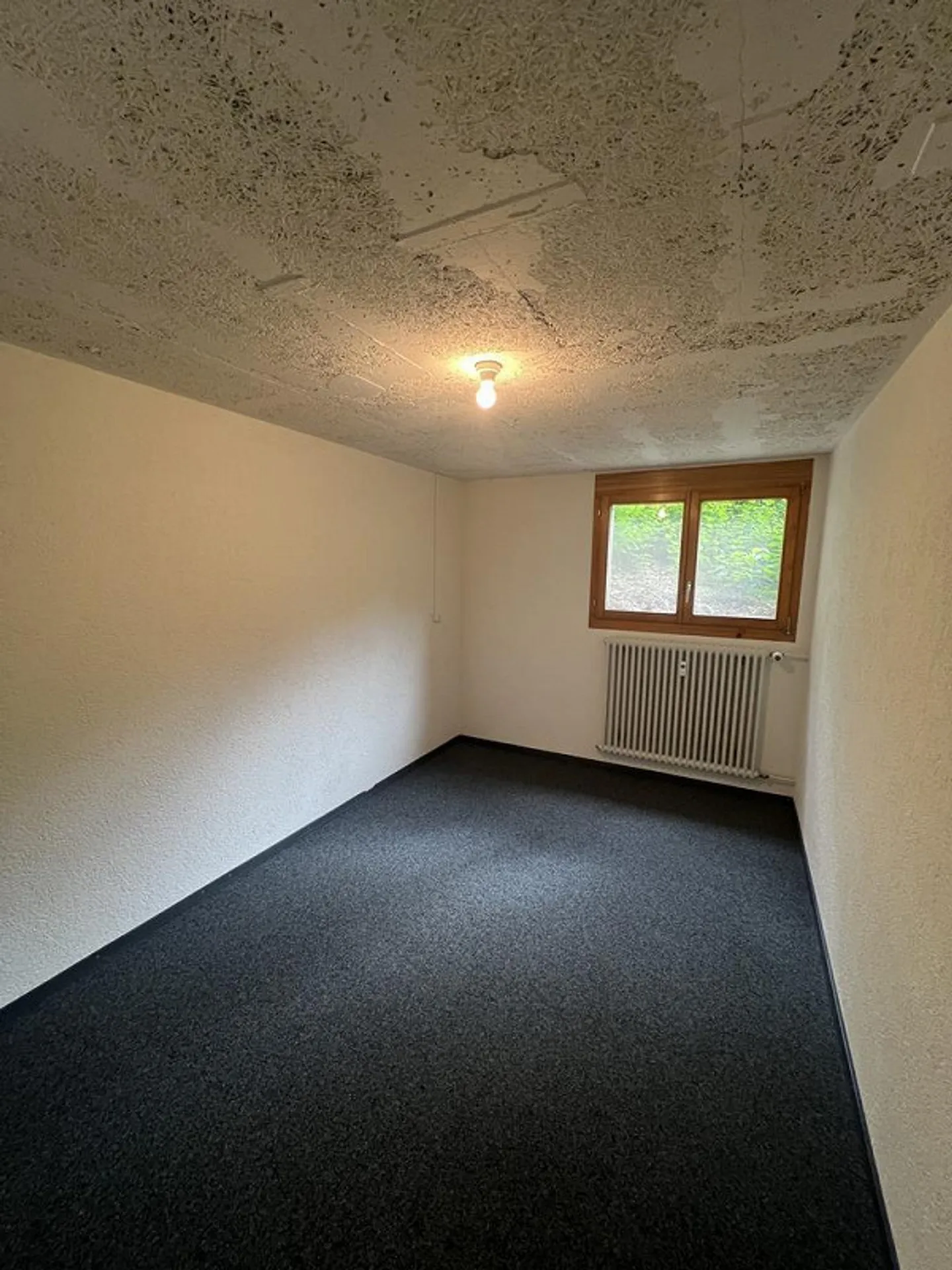 Salle de bricolage à louer à Köniz - Photo 1 sur 2