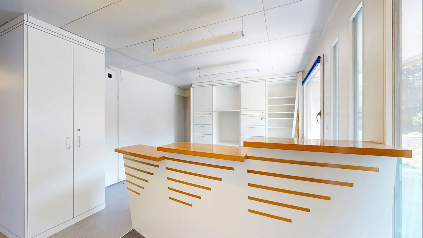 Manor House with Medical Practice and Swimming Pool in a Preferred Location - Photo 20 of 29