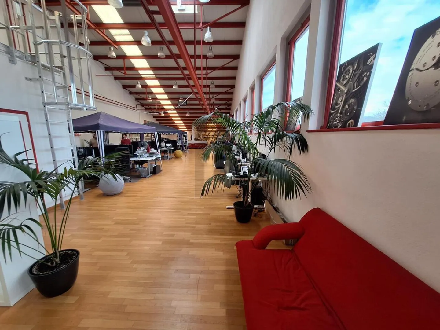 COMMERCE LOCALE DINAMICO, ZONA PROSPERA - Foto 2 di 6