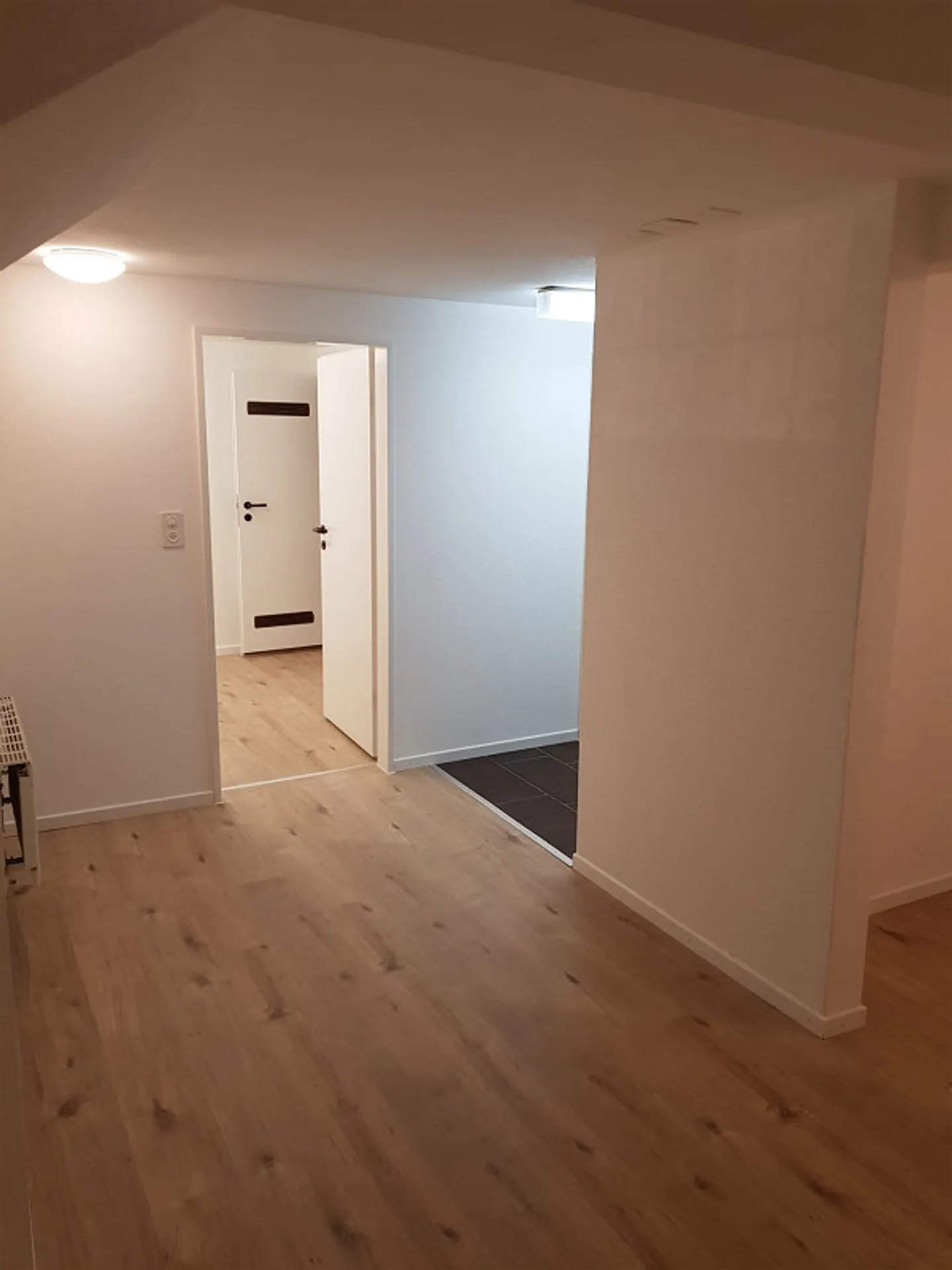 Ampio appartamento 3 1/2 locali in centro in una tradizionale casa appenzellese - Foto 16 di 19