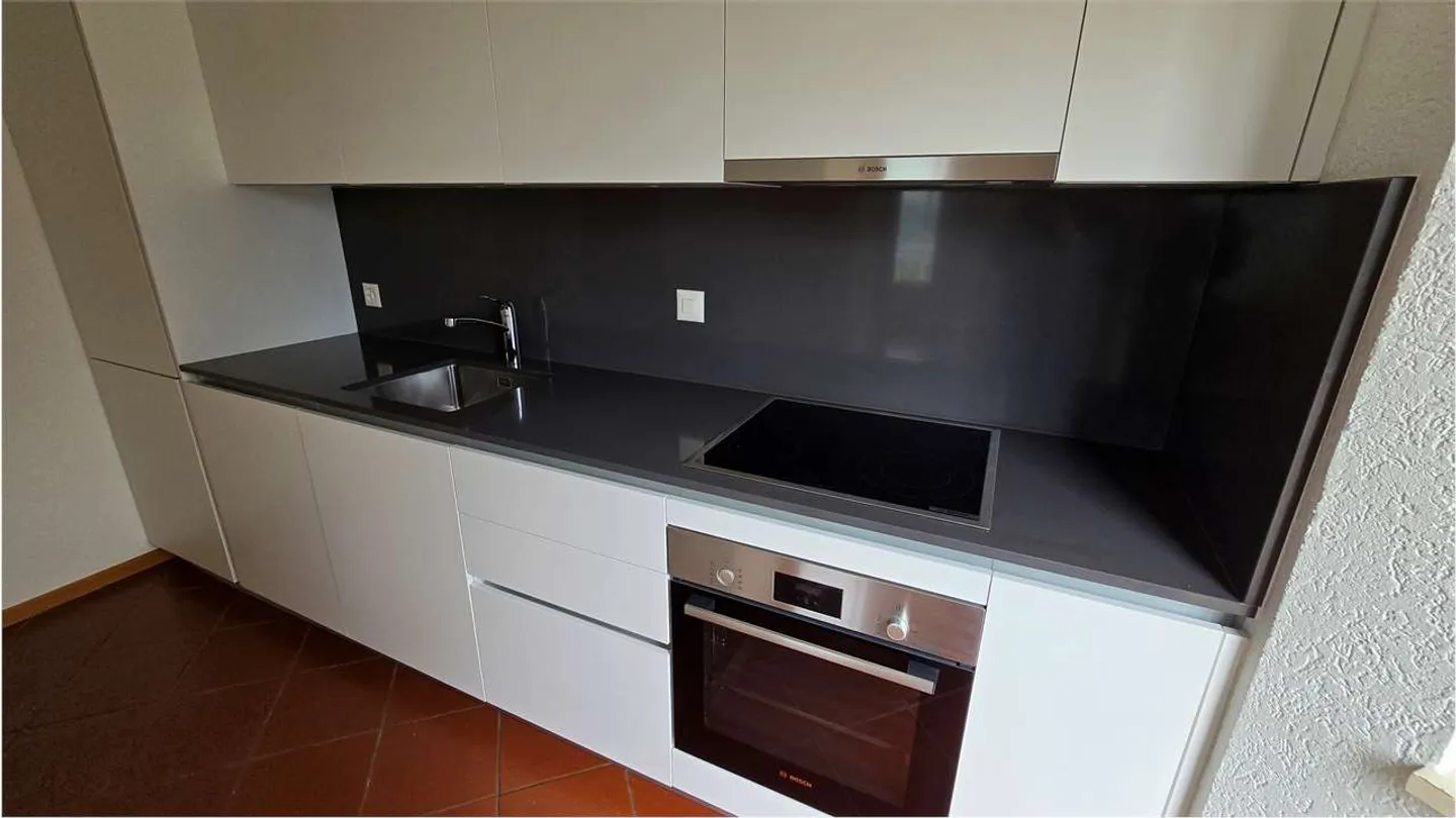 Maison de vacances avec vue sur le lac - Appartement deux pièces Lugano - Photo 7 sur 11