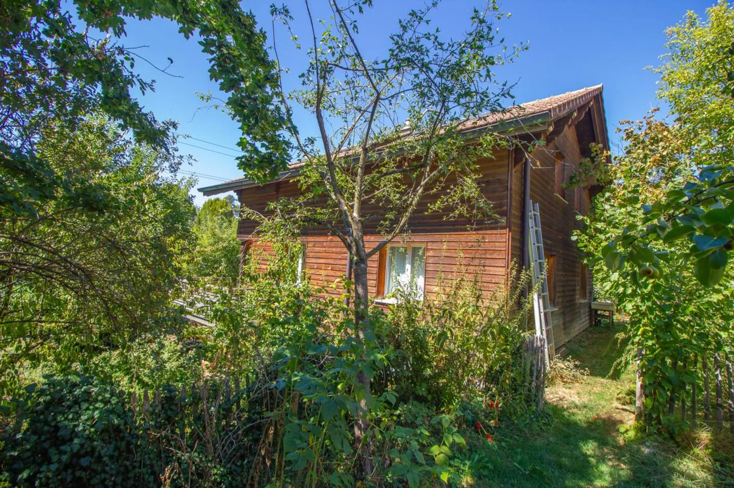 Residential house of charm - Photo 3 of 11