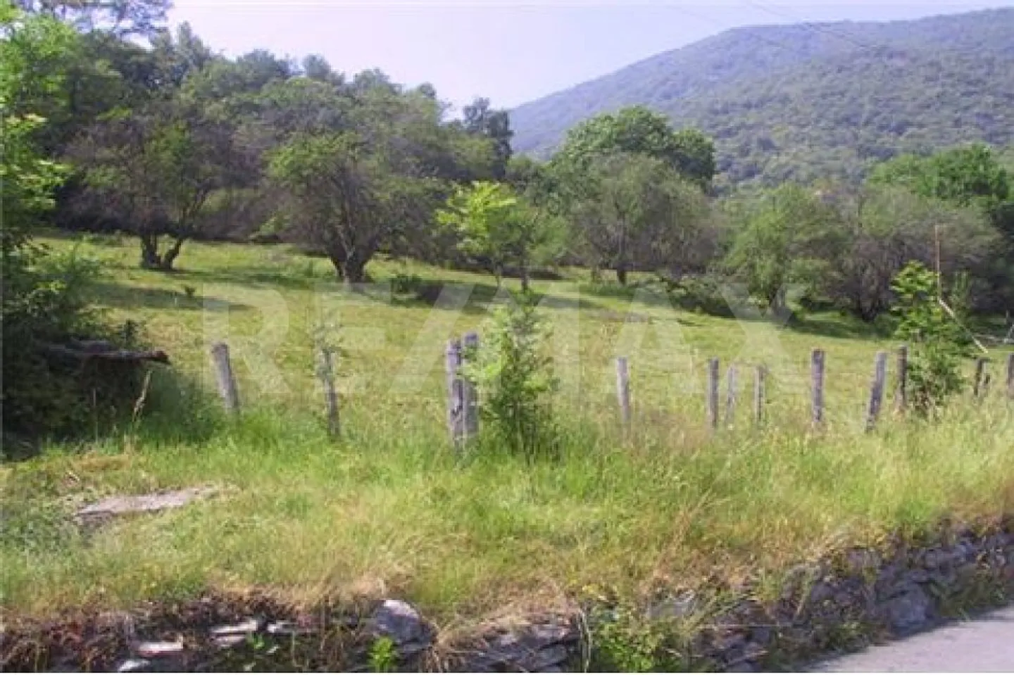 Terrain constructible au milieu de la nature - Photo 1 sur 8