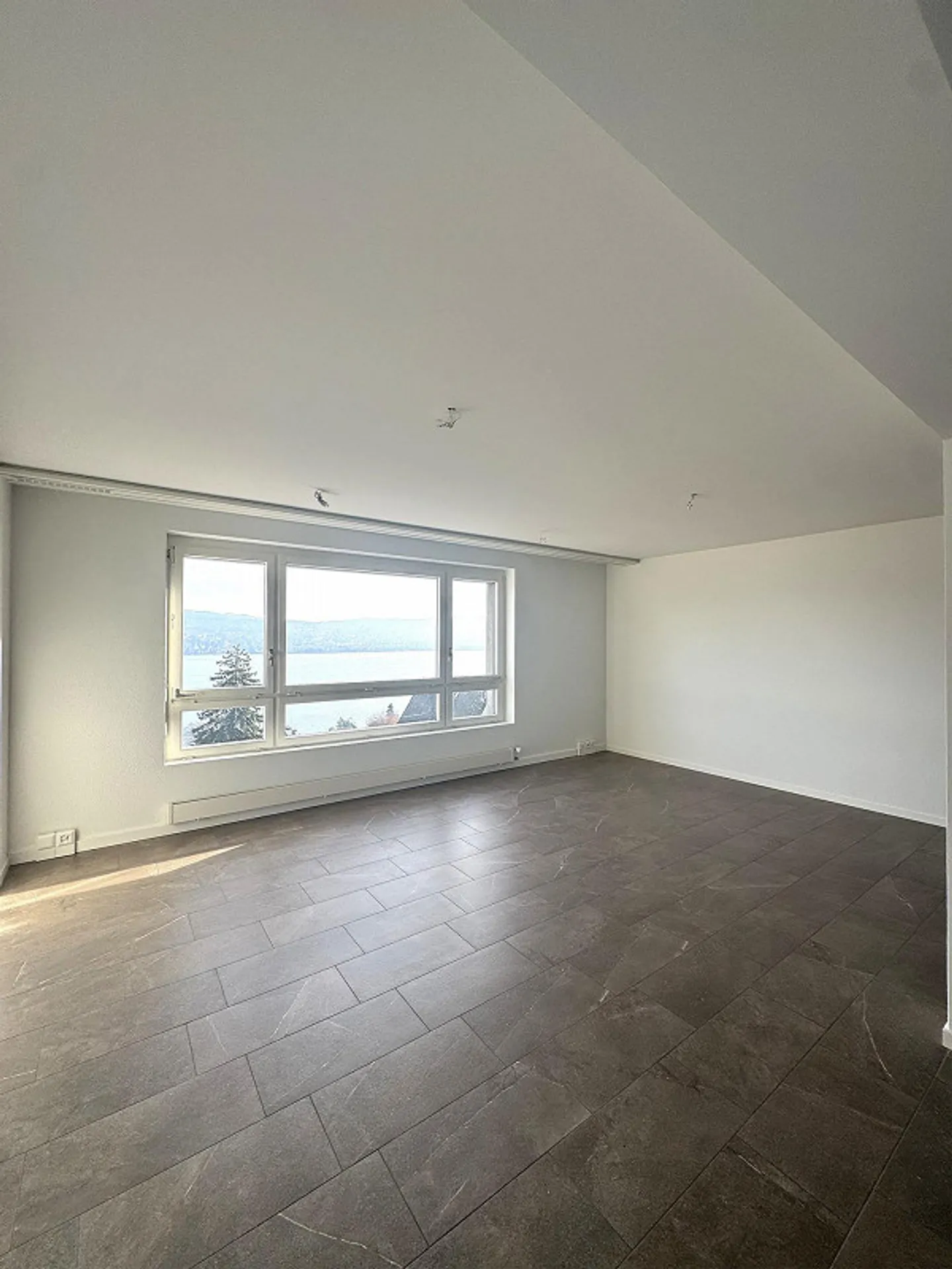 Living and Life in the Heart of Kilchberg with Breathtaking Lake View - Photo 3 of 9