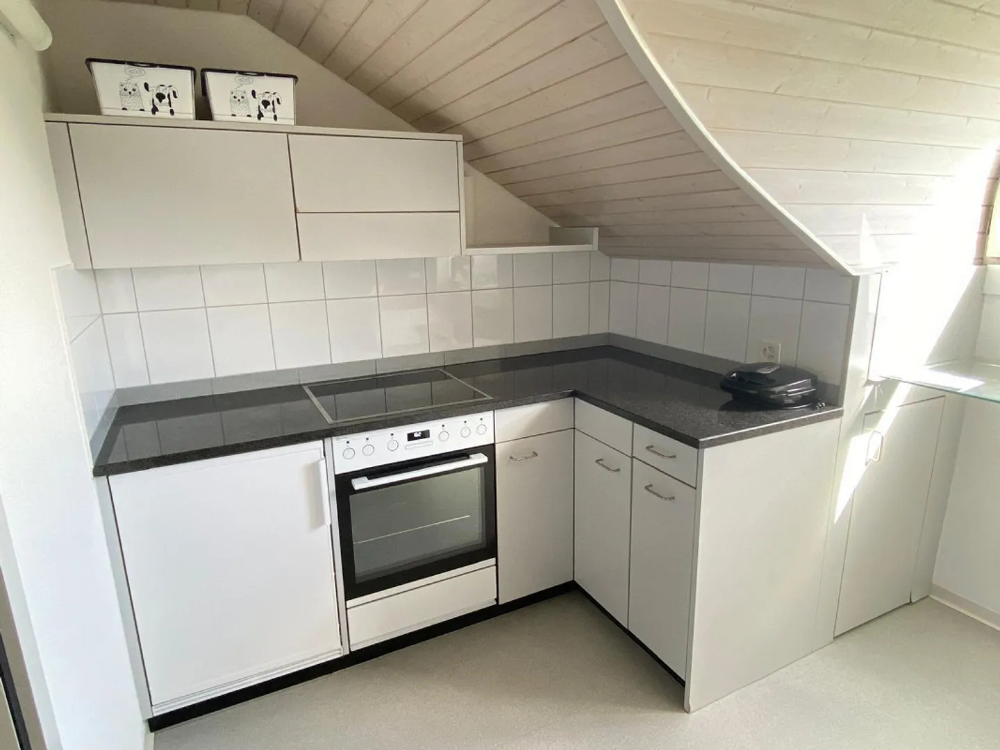 3 Room Attic Apartment with a View Next to Children's Festival Meadow and University - Photo 2 of 10