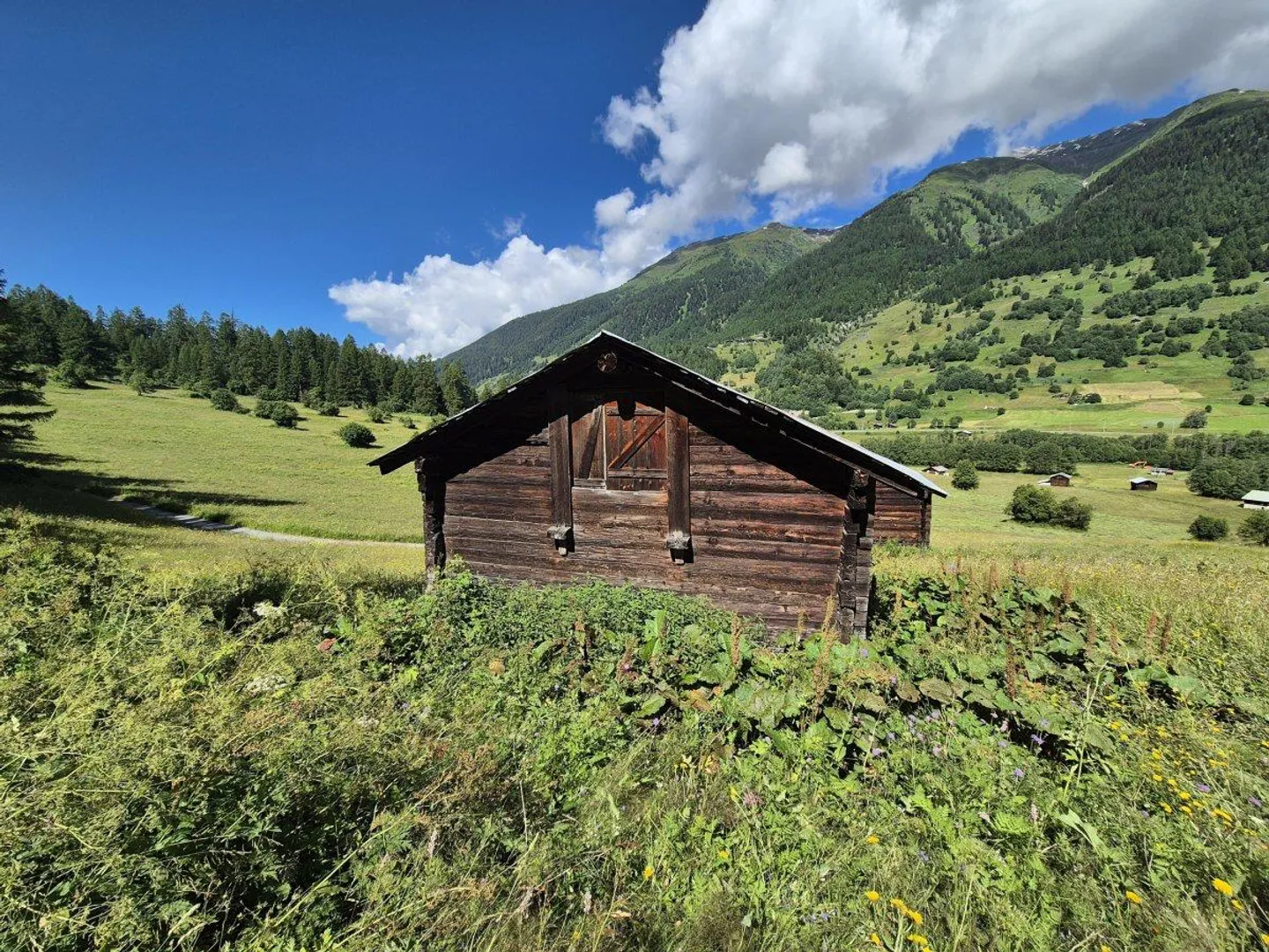 Ferme à vendre - Photo 1 sur 7