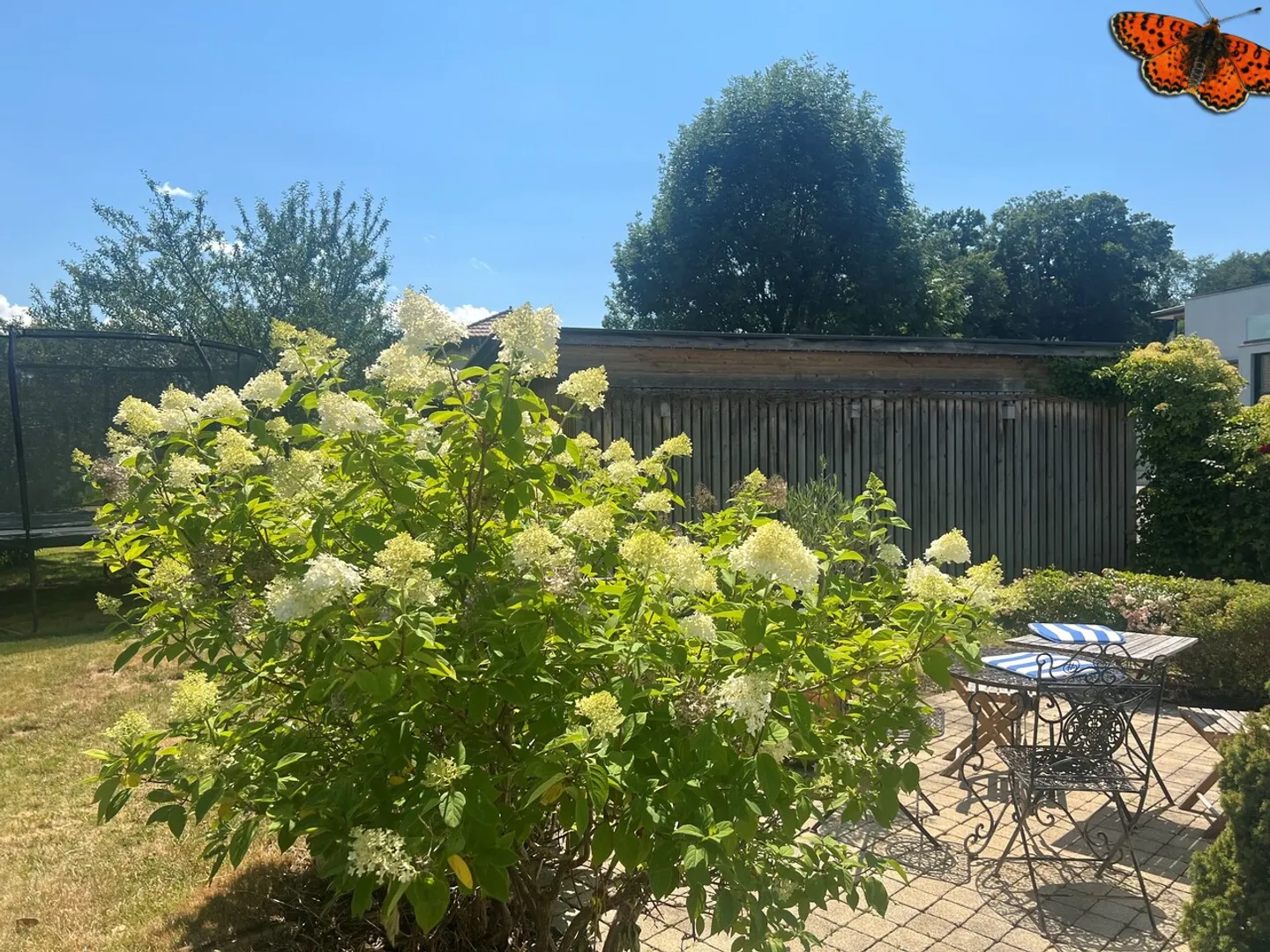 VILLA ECCEZIONALE 7 STANZE SU 3 PIANI CON STUDIO INDIPENDENTE! - Foto 6 di 24