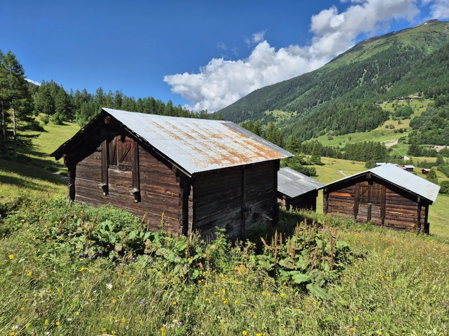 Ferme à vendre - Photo 5 sur 7