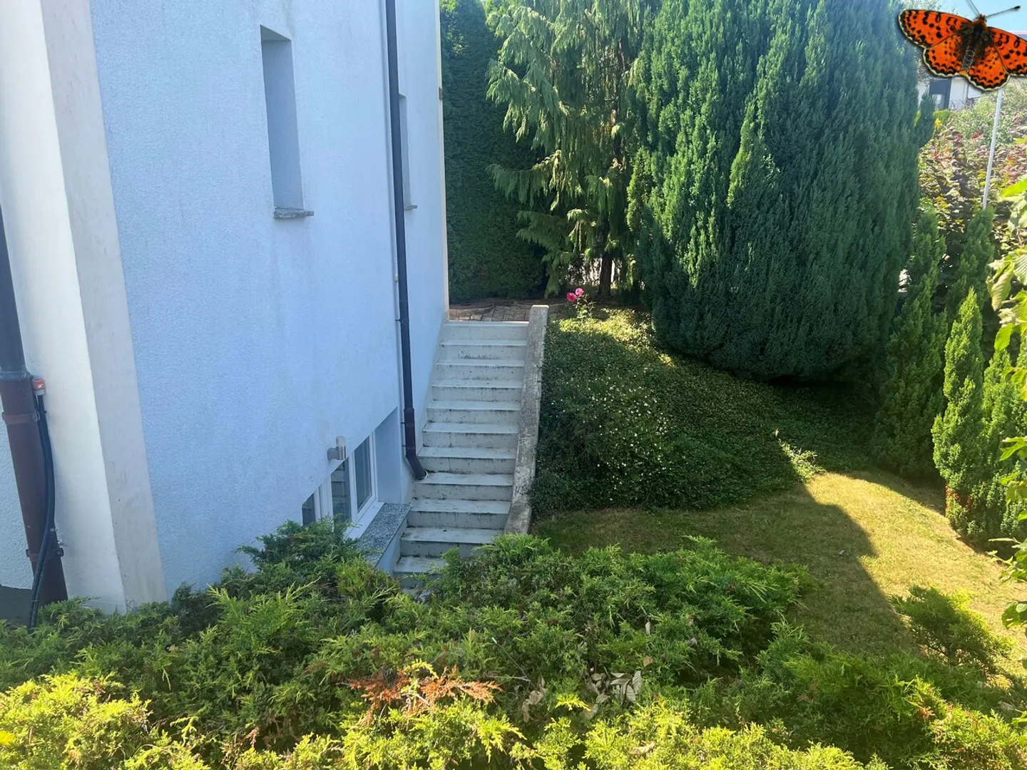 VILLA ECCEZIONALE 7 STANZE SU 3 PIANI CON STUDIO INDIPENDENTE! - Foto 24 di 24