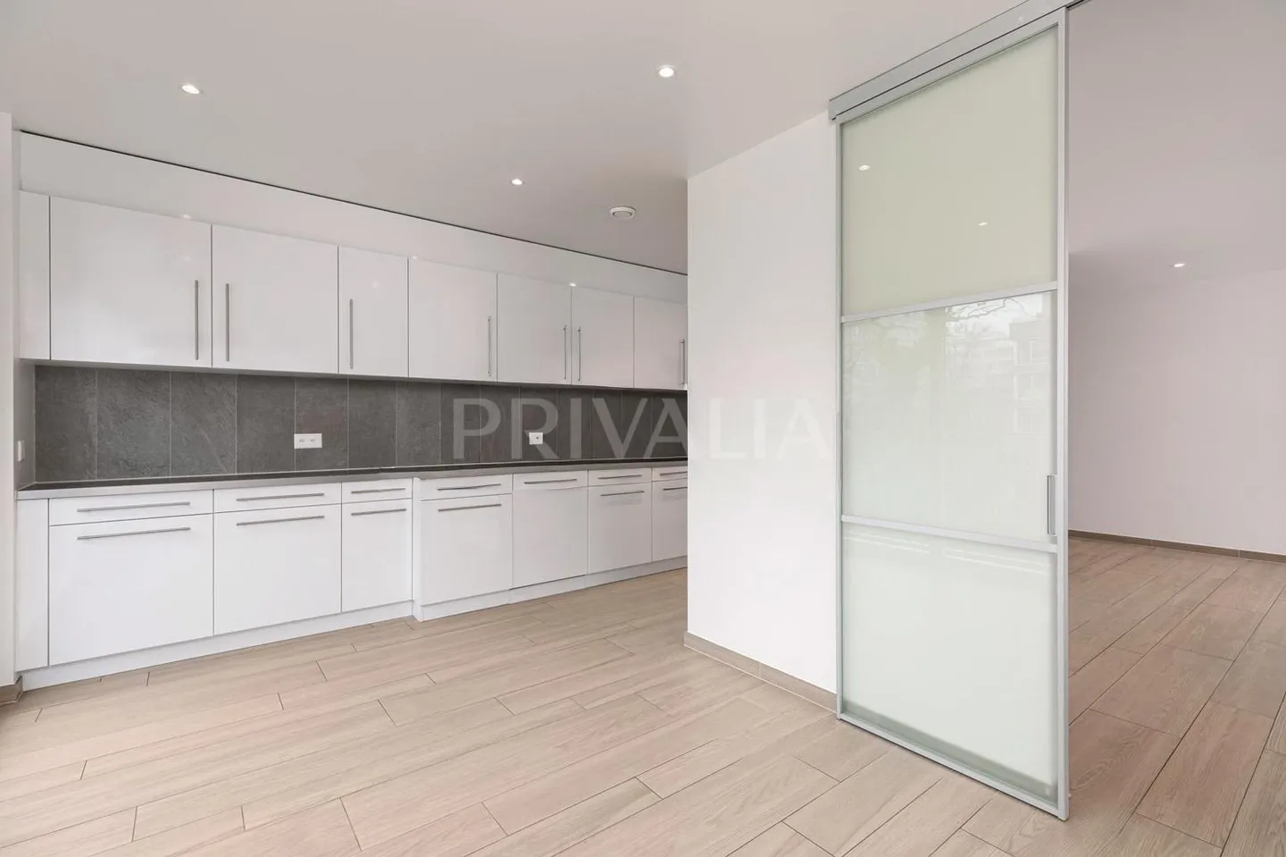 Geräumige moderne Wohnung in einem Wohngebiet in Conches - Foto 3 von 7