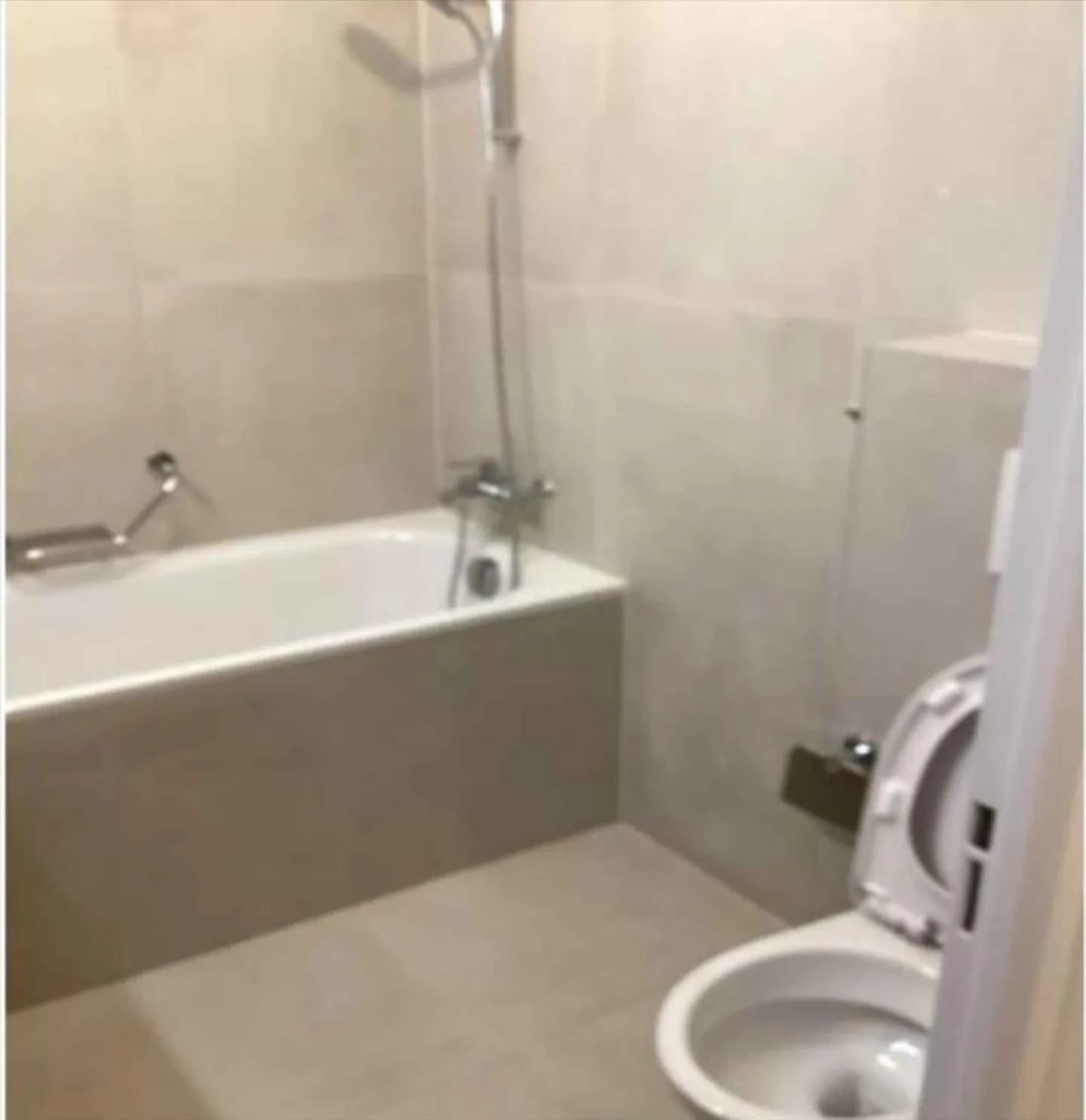 1.5 Room Apartment - Photo 4 of 6