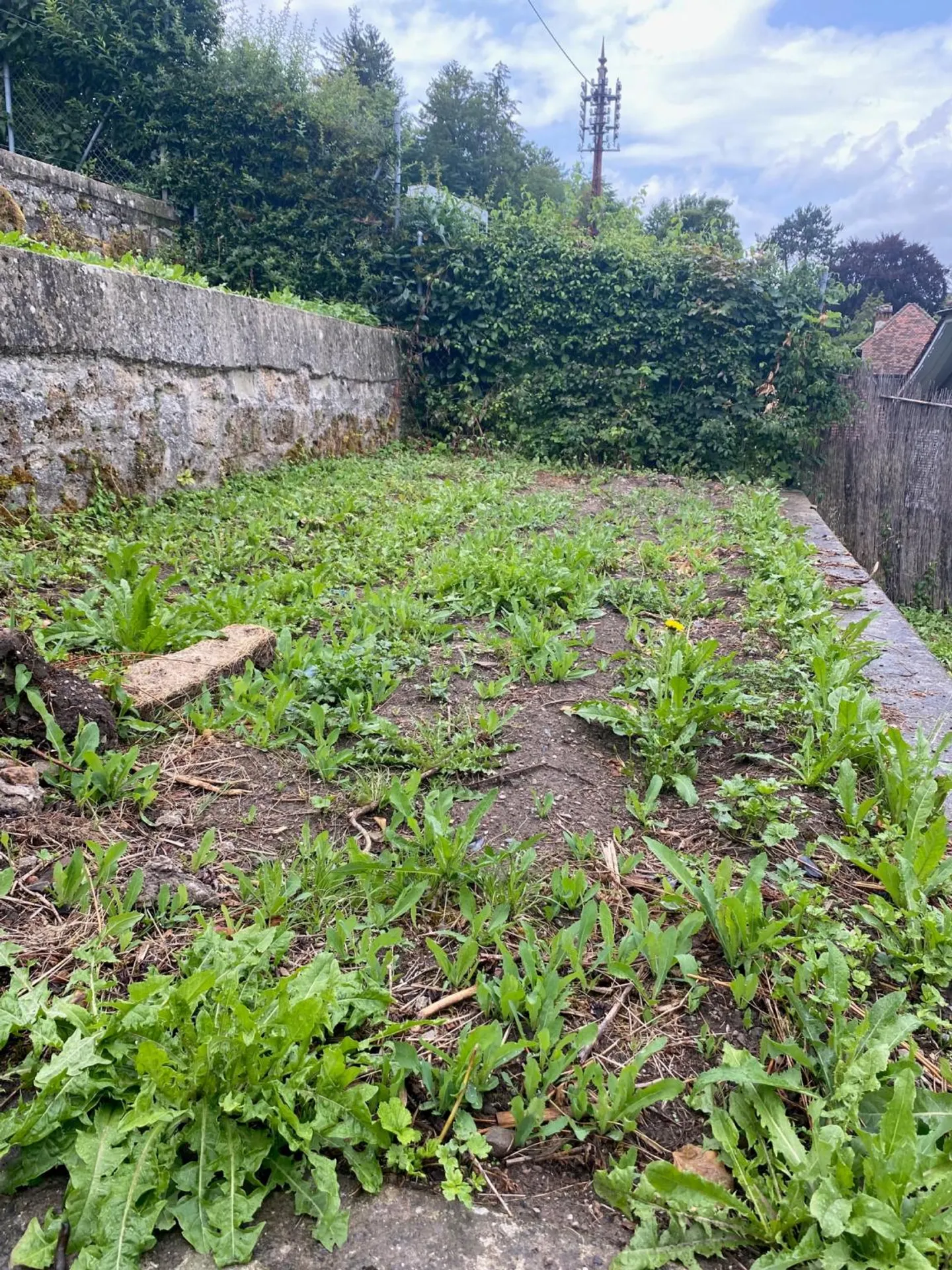 Only two spaces available! Discover a garden, a true haven of peace, in the heart of the city of Fribourg! - Photo 2 of 11