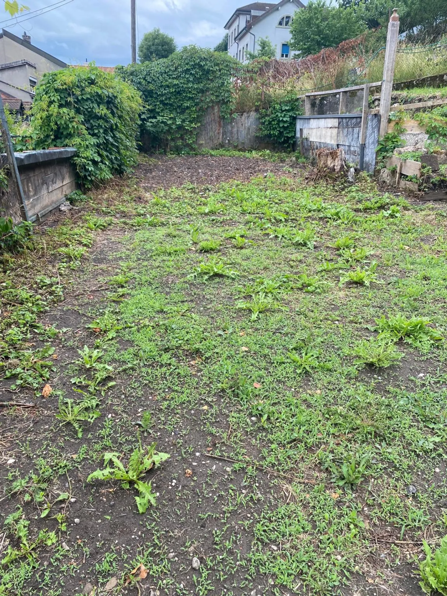 Only two spaces available! Discover a garden, a true haven of peace, in the heart of the city of Fribourg! - Photo 3 of 11