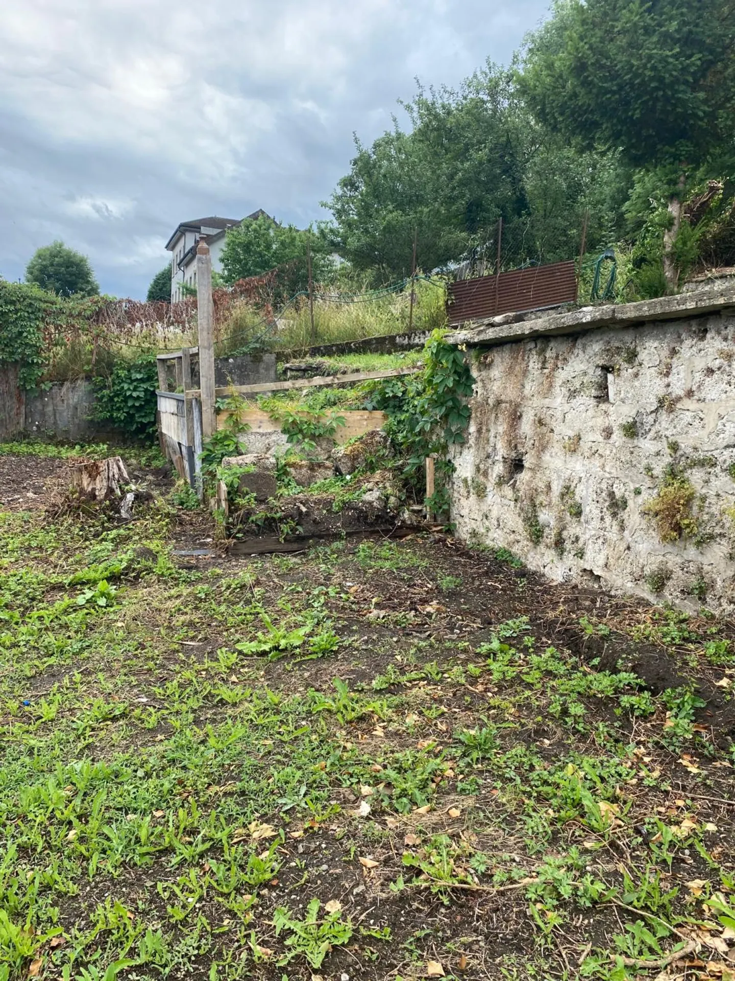 Only two spaces available! Discover a garden, a true haven of peace, in the heart of the city of Fribourg! - Photo 4 of 11