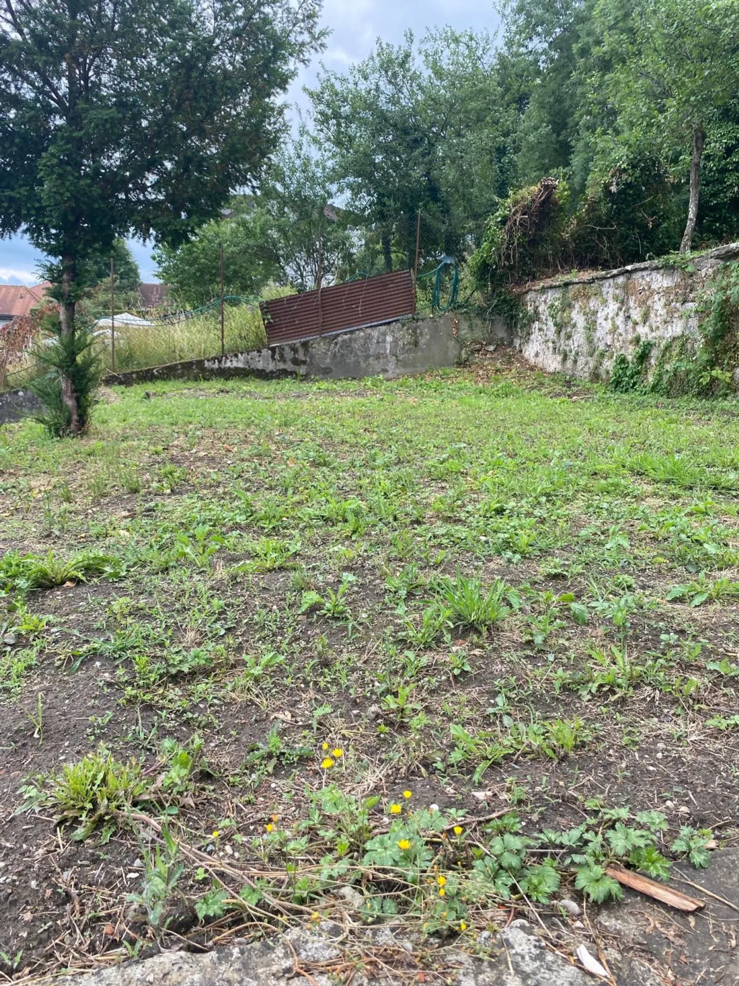 Only two spaces available! Discover a garden, a true haven of peace, in the heart of the city of Fribourg! - Photo 6 of 11