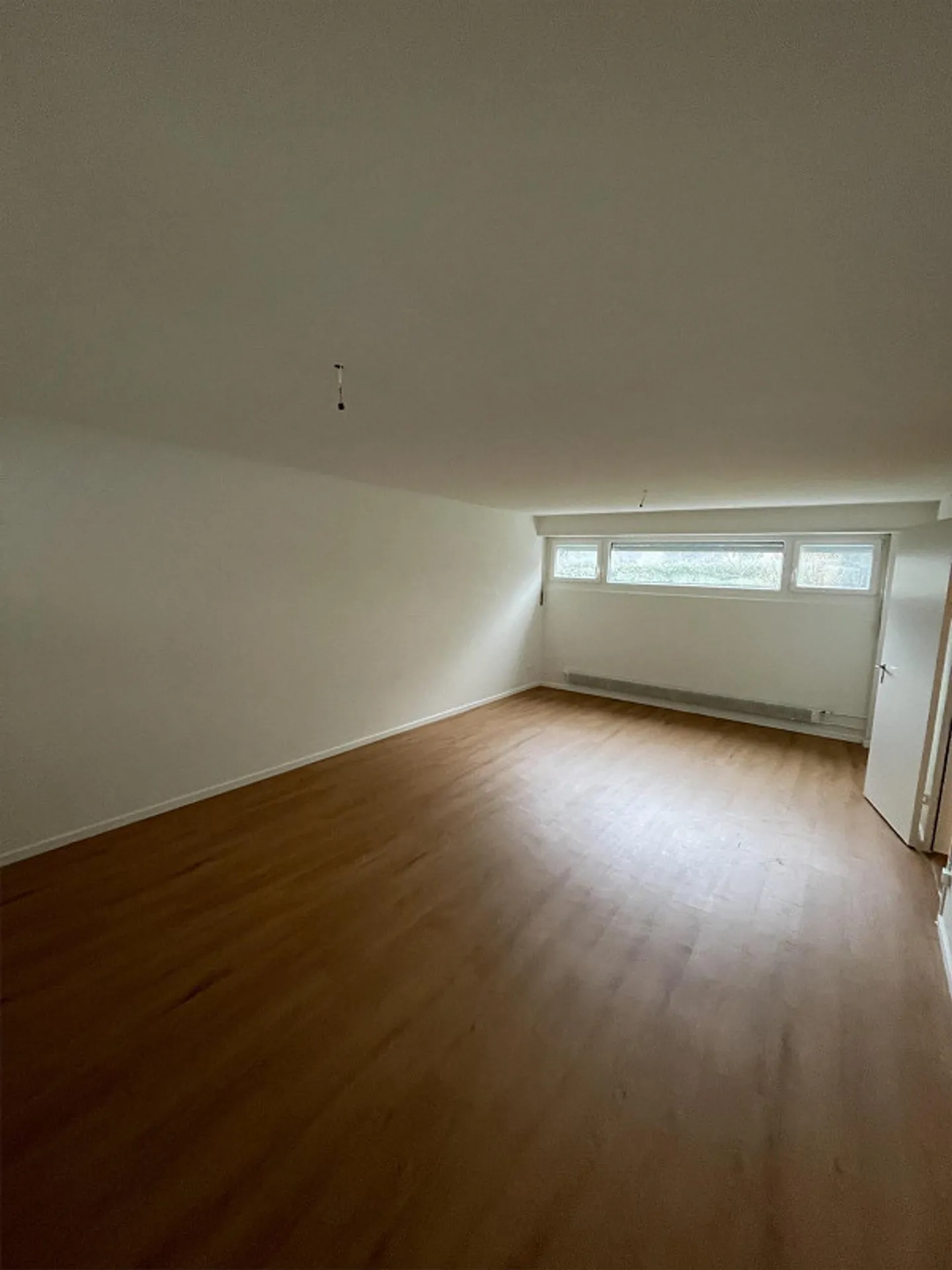 Grand espace hobby avec WC et douche à louer - Photo 1 sur 3