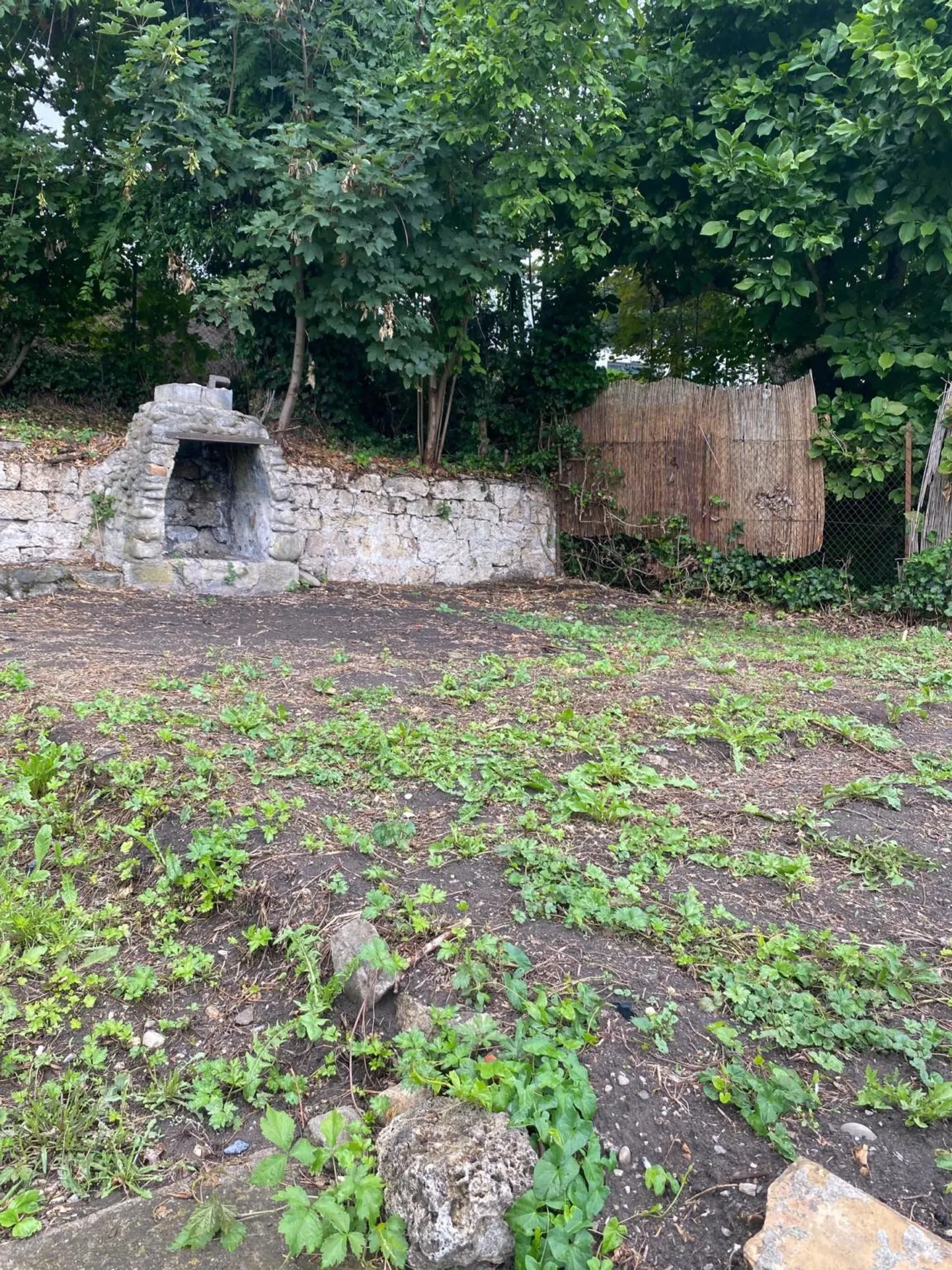Only two spaces available! Discover a garden, a true haven of peace, in the heart of the city of Fribourg! - Photo 9 of 11