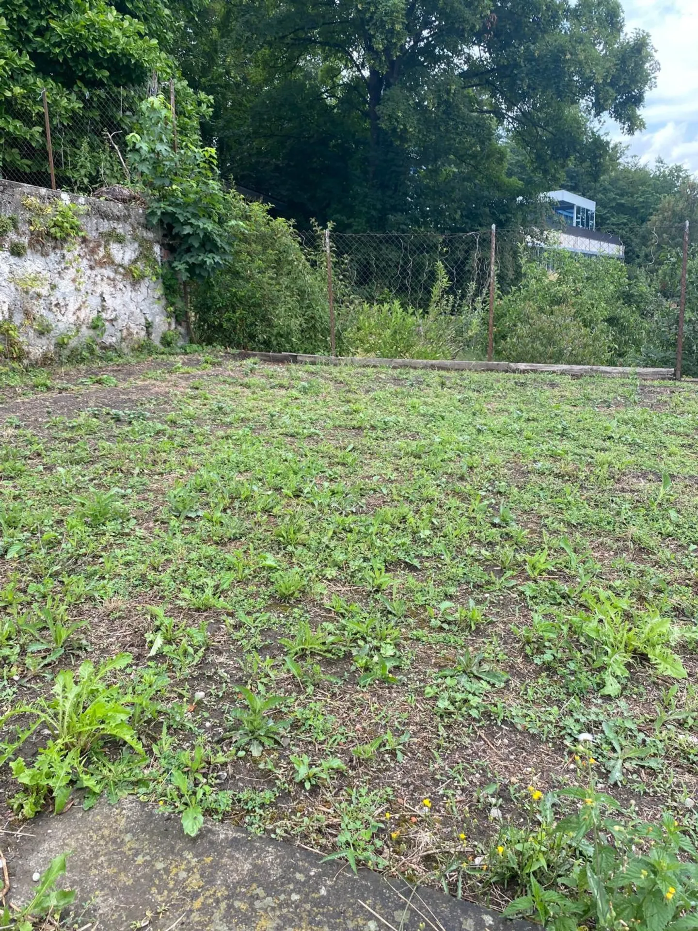 Only two spaces available! Discover a garden, a true haven of peace, in the heart of the city of Fribourg! - Photo 7 of 11