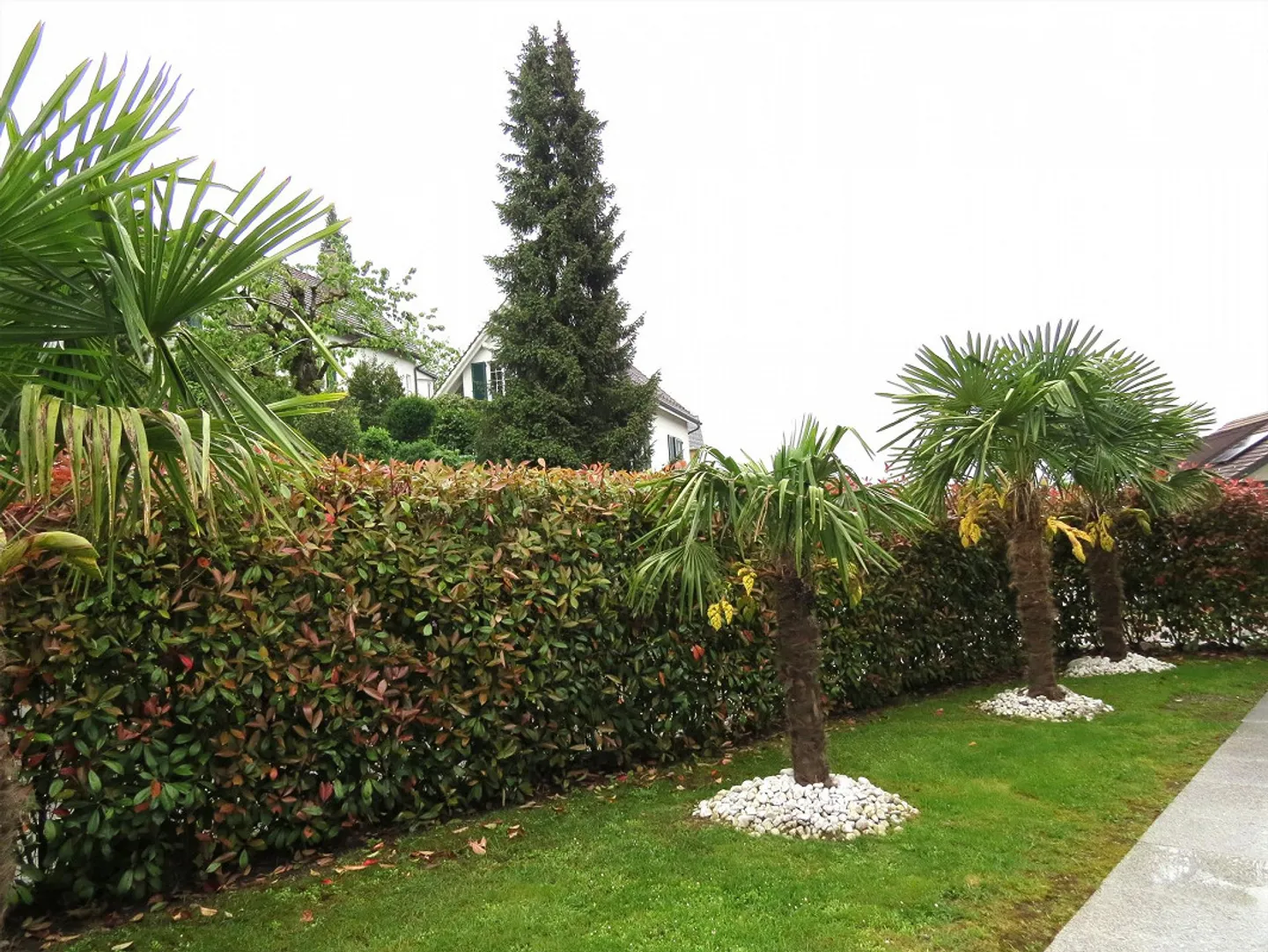 10-Zimmer-Haus mit Aussicht - Foto 25 von 25