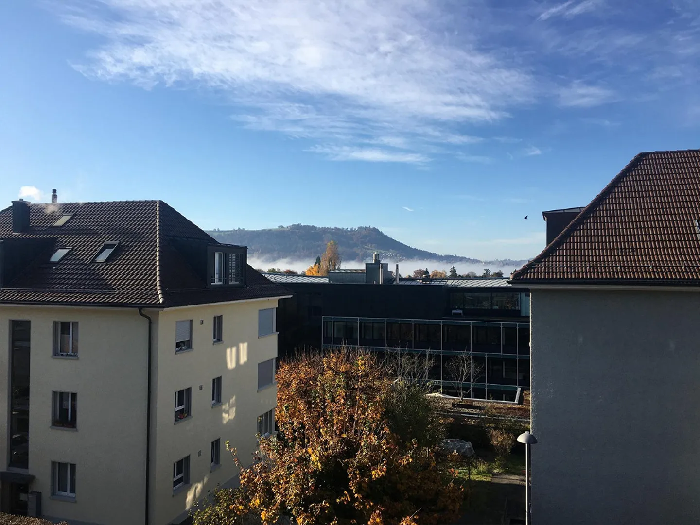 1.5-Zimmerwohnung im Schosshalde-Obstberg-Quartier - Foto 1 von 10