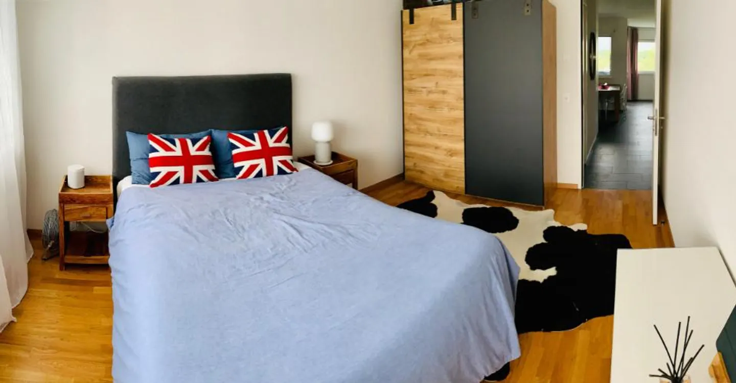 Appartement Charmant à Plan-les-Ouates - Photo 4 sur 6
