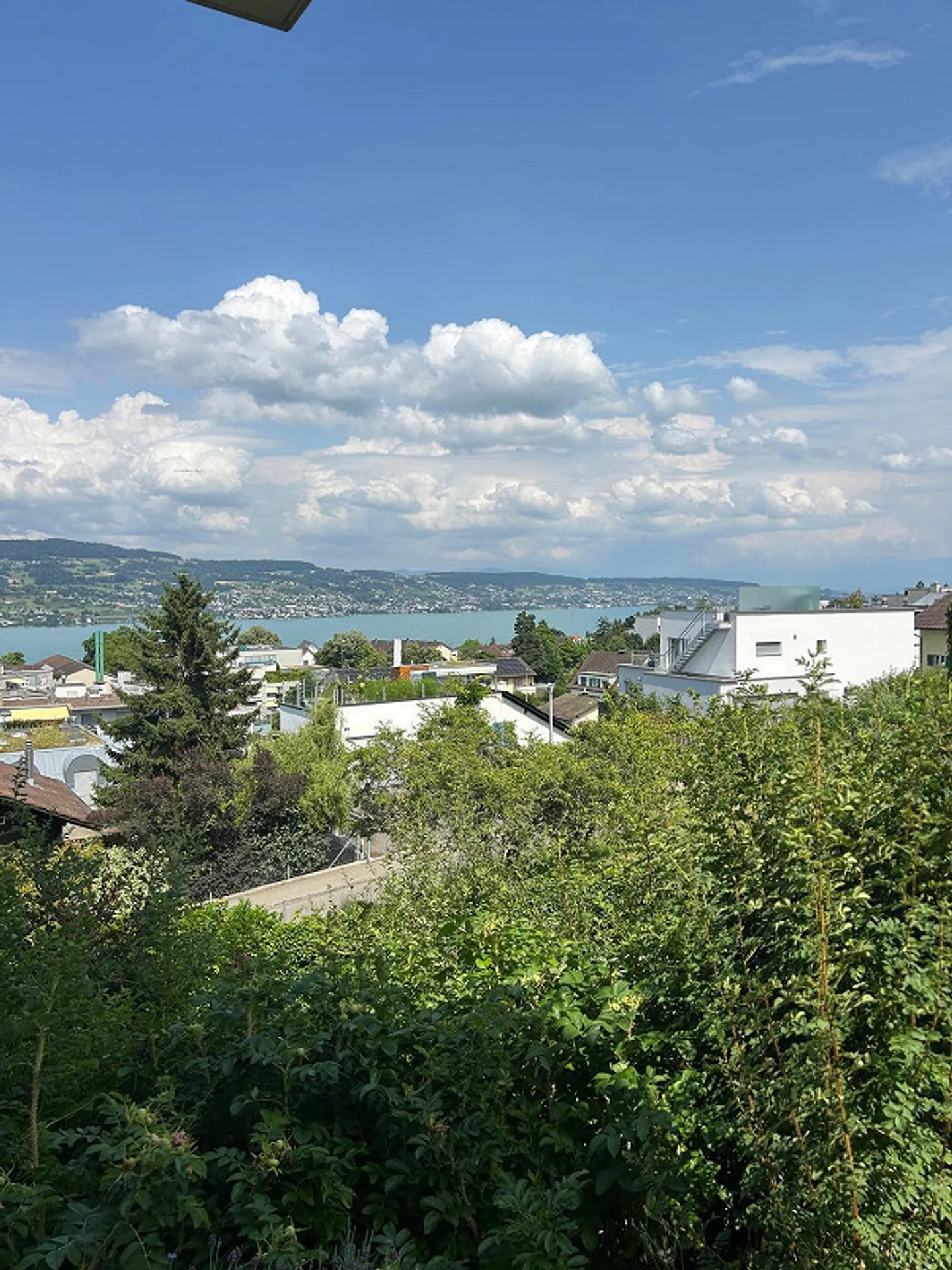 4.5 Room Apartment in Horgen - Photo 5 of 12