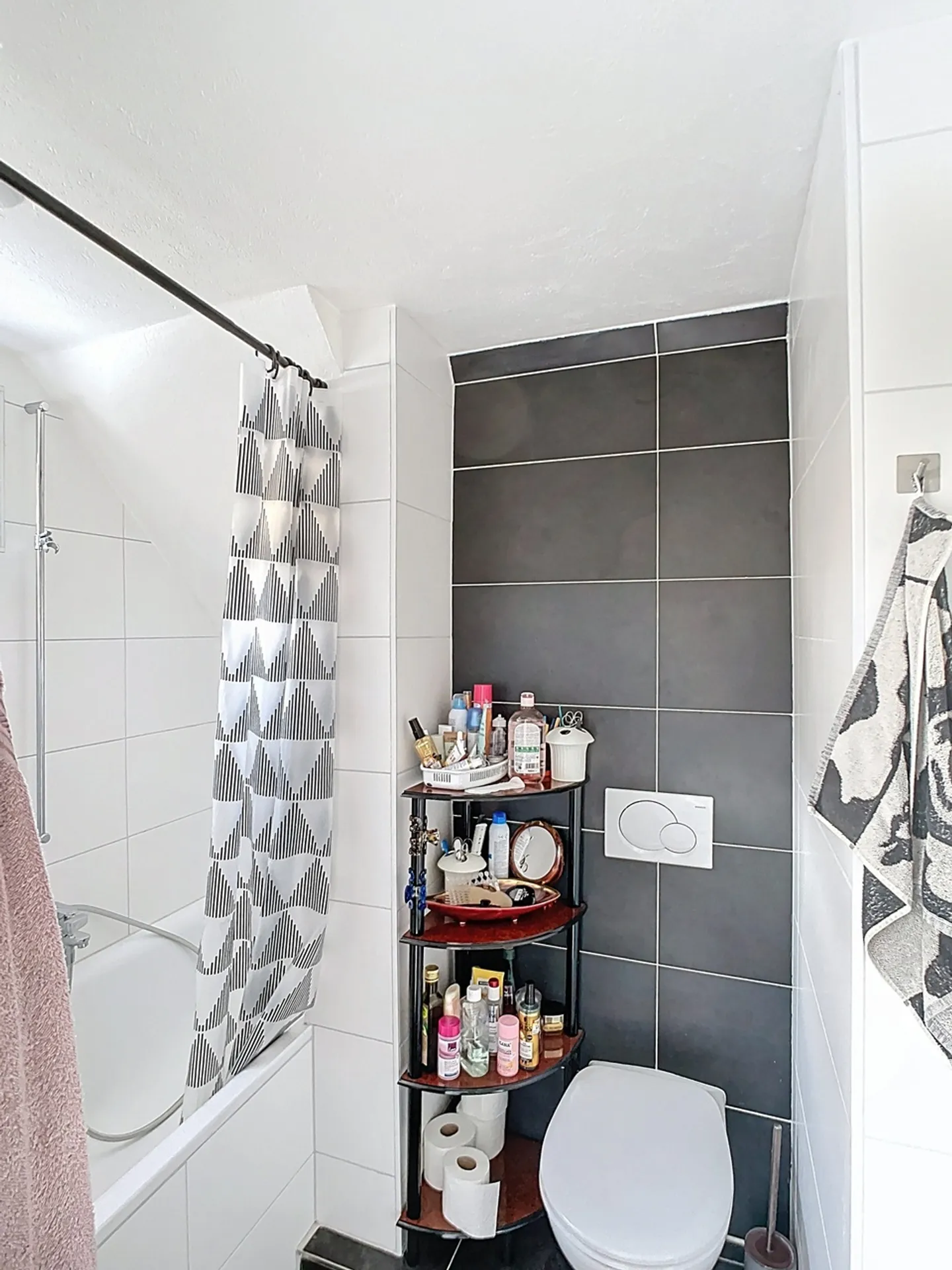 Charming Apartment in Sierre - Photo 9 of 10