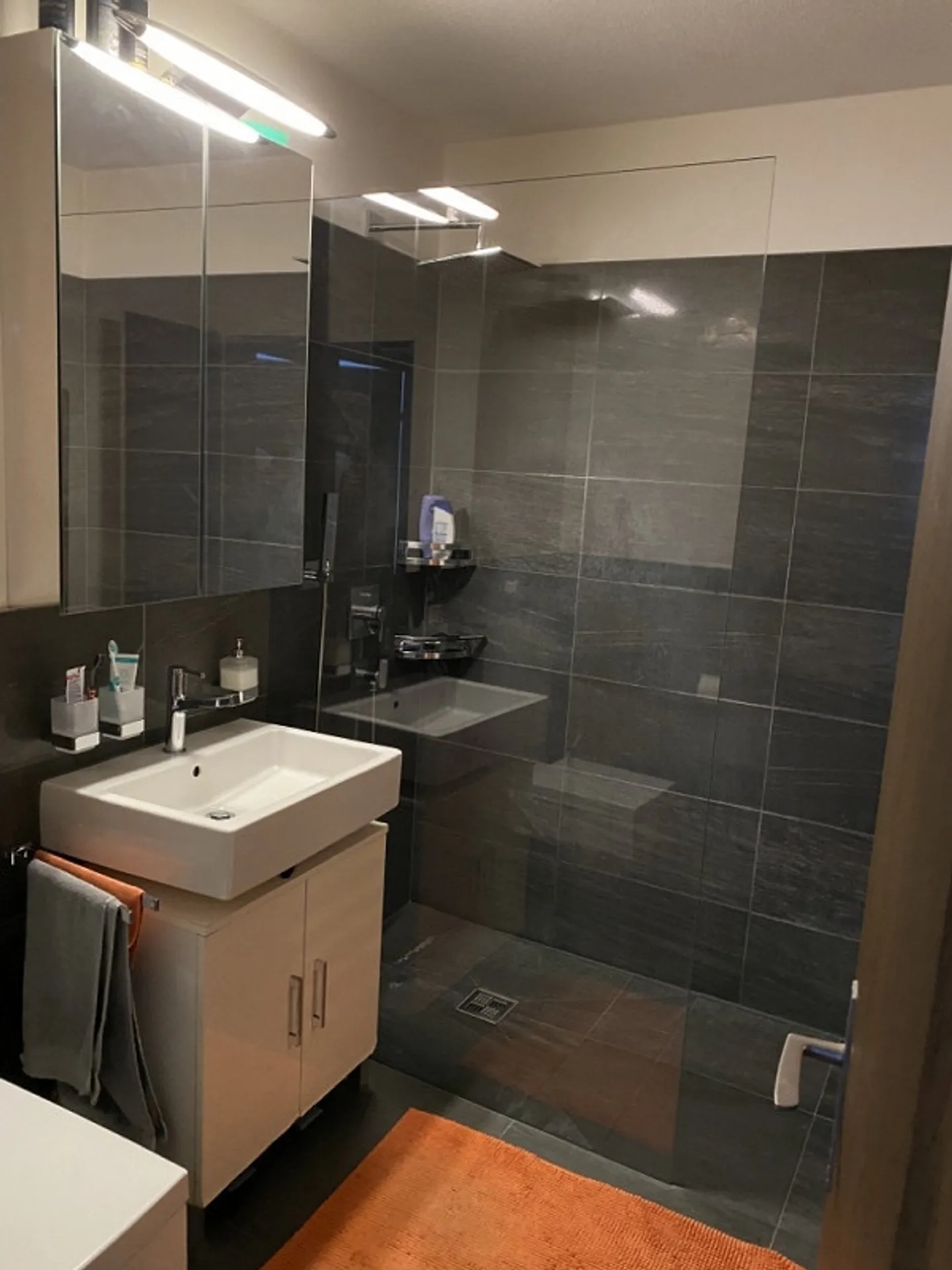 Residence du Lac, appartamento 2 locali soleggiato - Foto 5 di 11