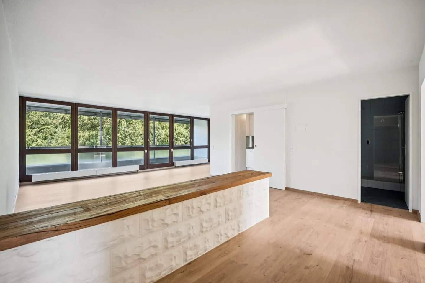 Modern Apartment in Aarau - Photo 1 of 8