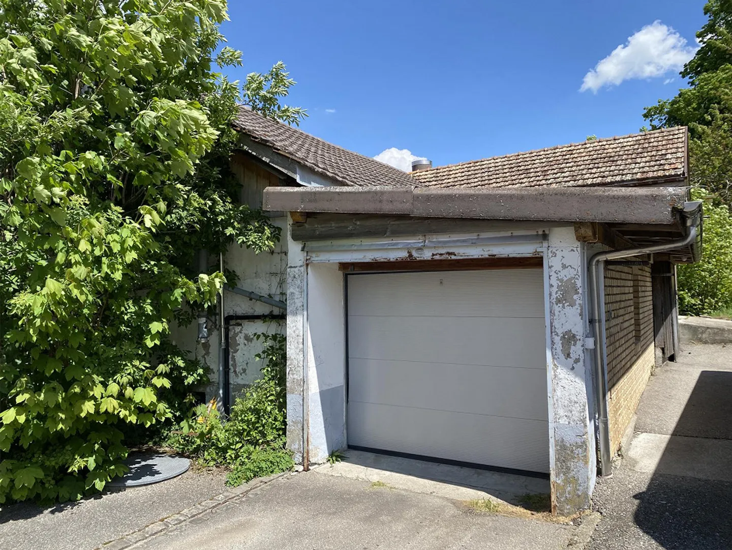 Propriété commerciale spacieuse avec 638m² et 1578m² de terrain - Photo 3 sur 8