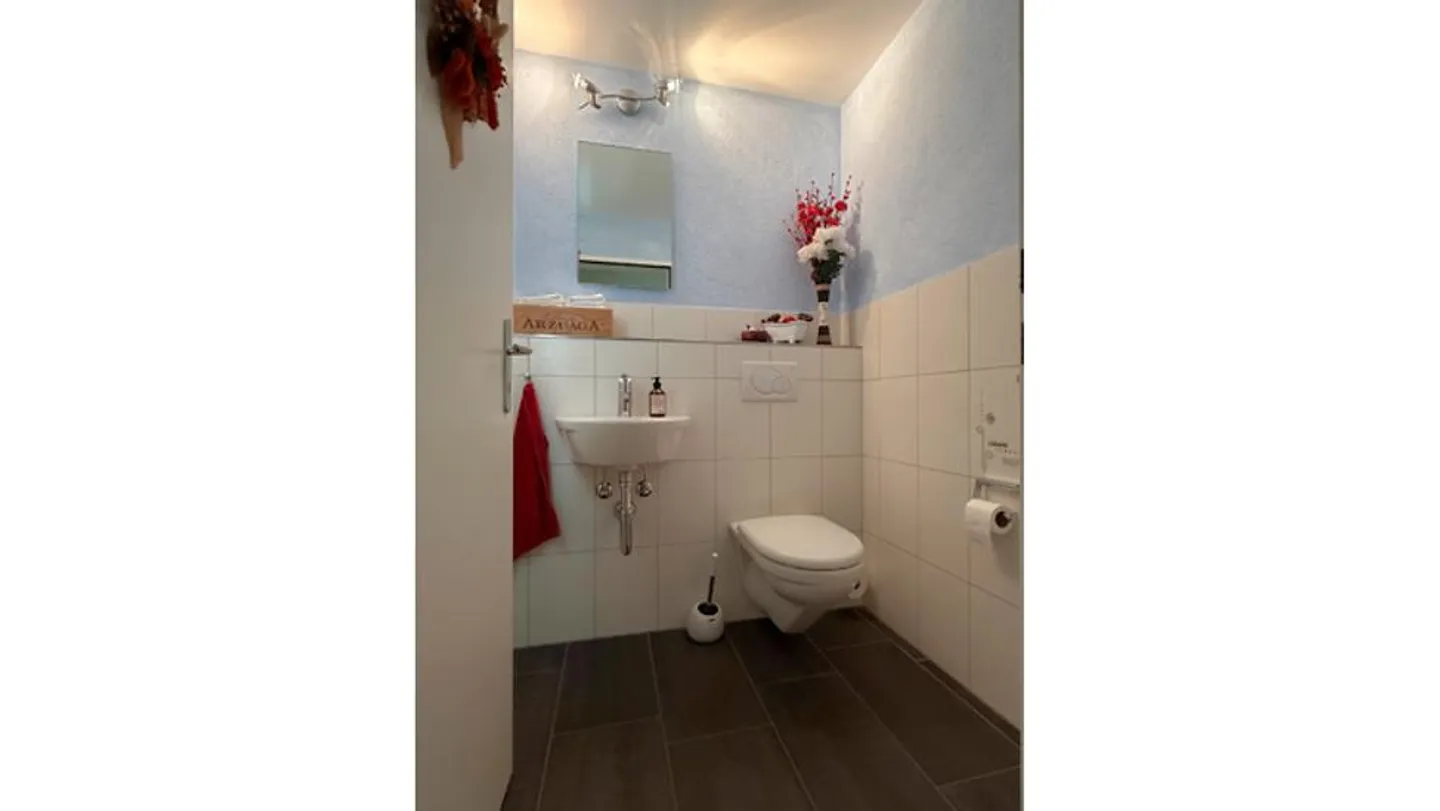 5½ ROOM HOUSE IN WETZIKON (ZH), FURNISHED, TEMPORARY - Photo 11 of 13