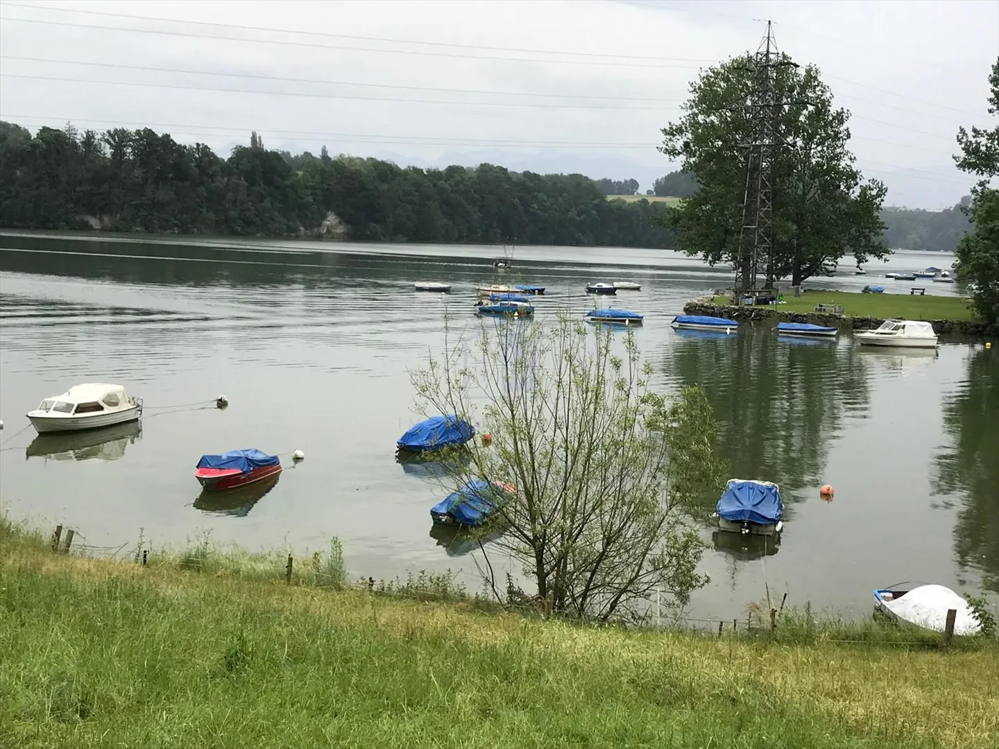 Charming villa with rental unit located idyllically near Freiburg - Photo 6 of 8